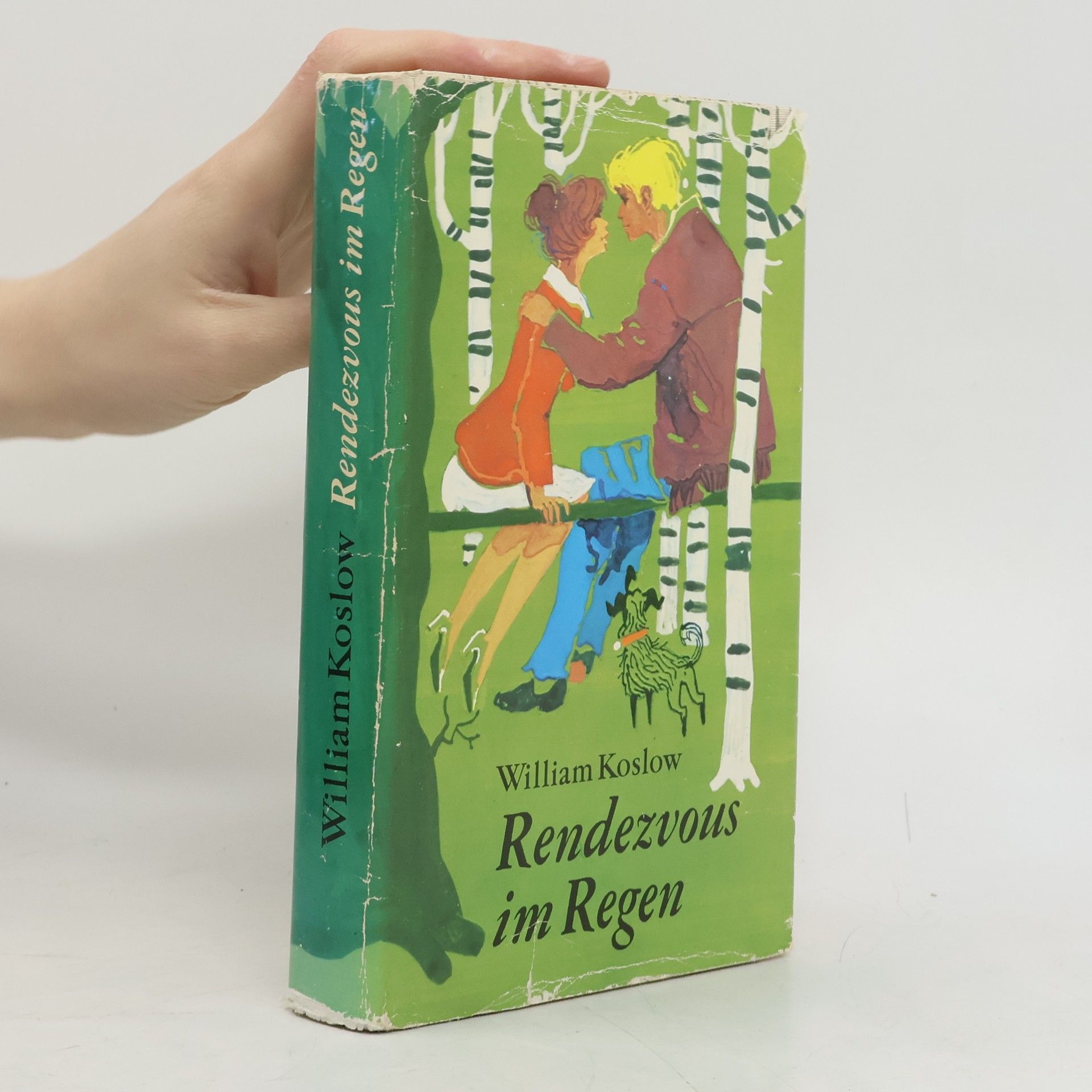 William Koslow  Rendezvous im Regen