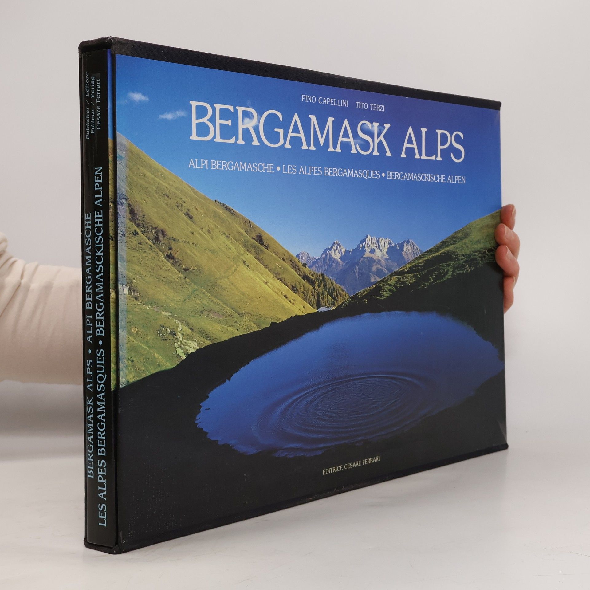 Bergamask Alps