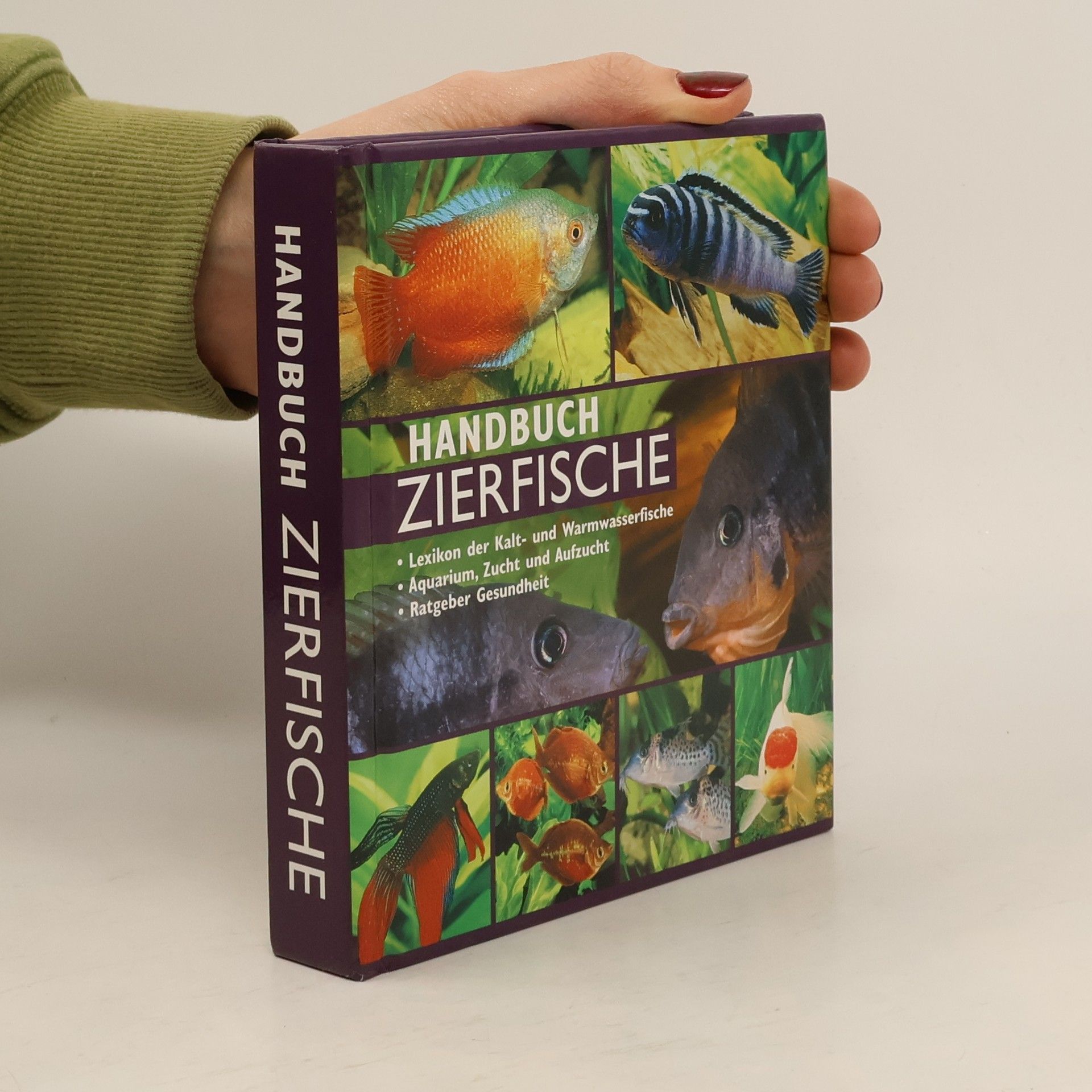 Kolektív autorov Handbuch Zierfische