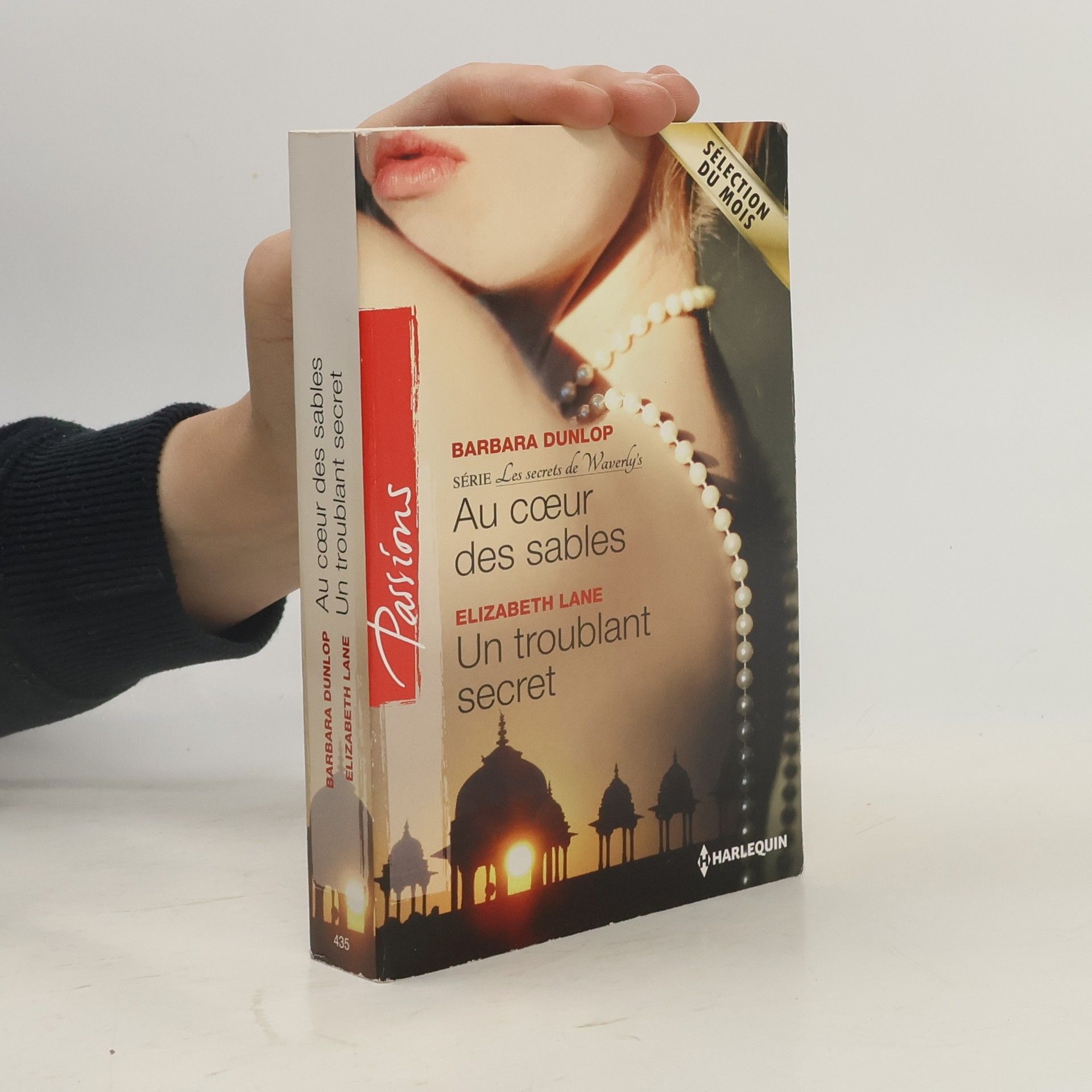 Au cœur des sables - Un troublant secret