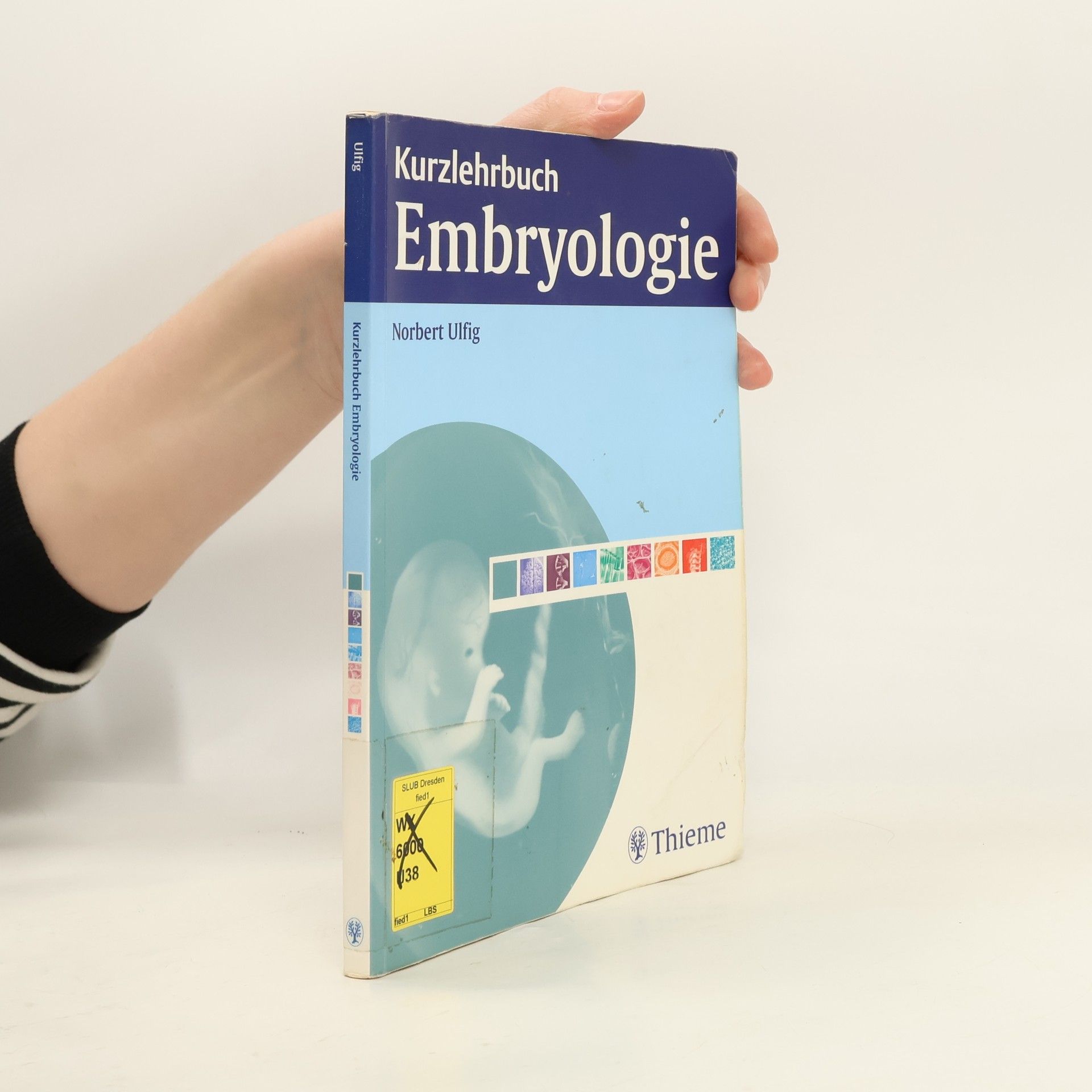 Kurzlehrbuch Embryologie