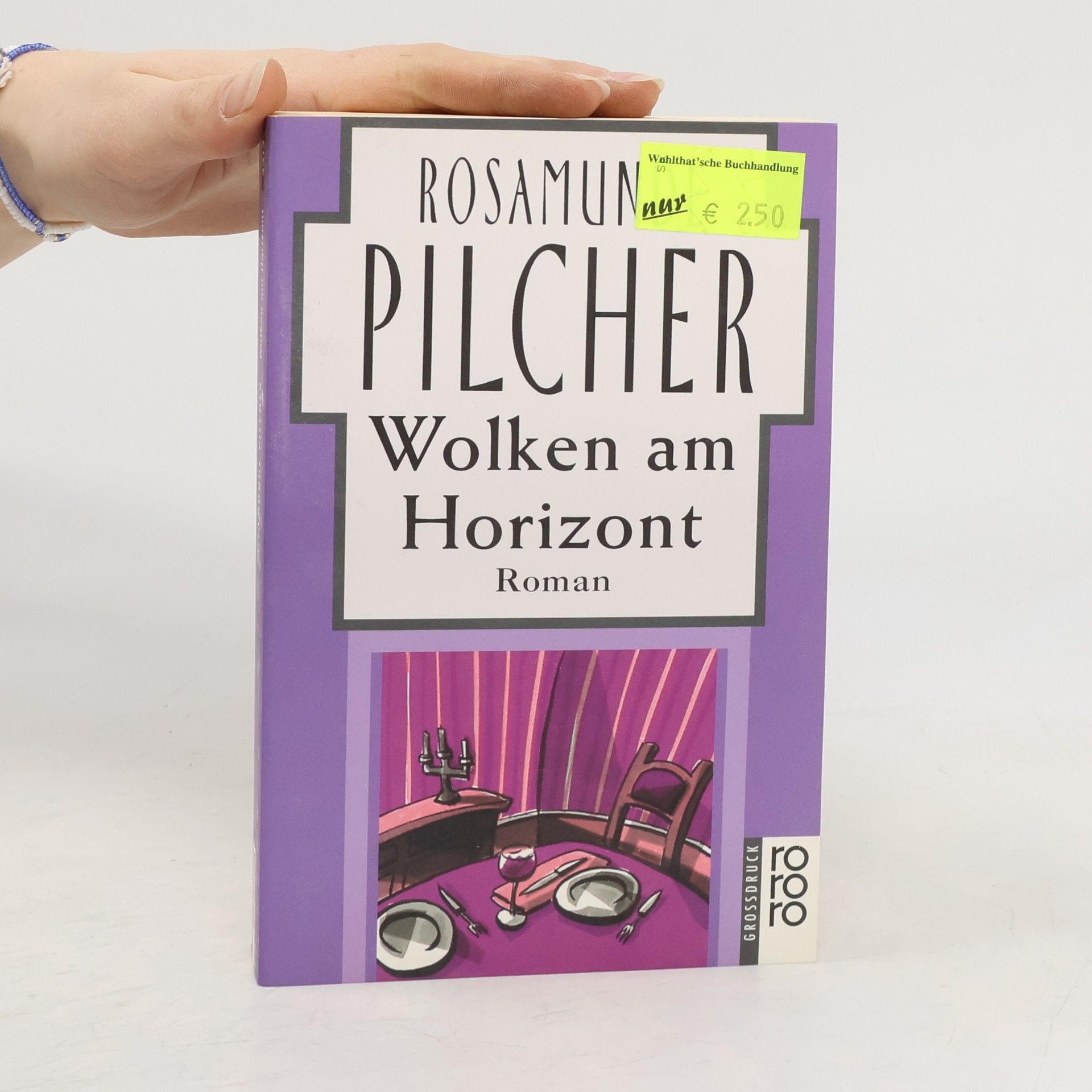 Rosamunde Pilcher Wolken am Horizont