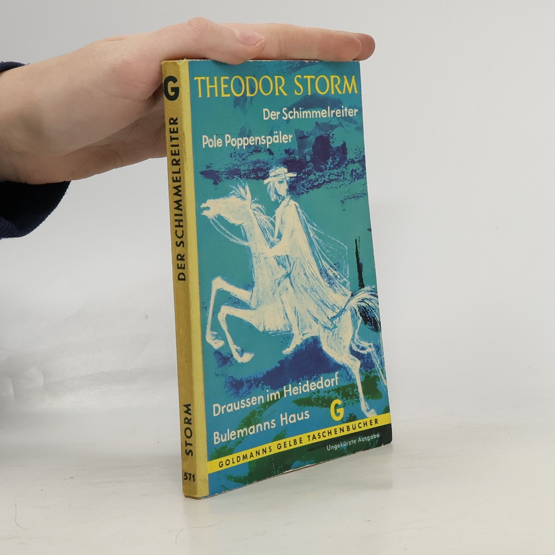 Theodor Storm Der Schimmelreiter. Pole Poppenspäler