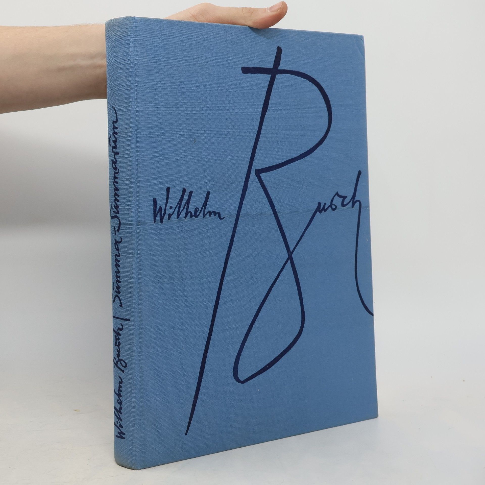 Wilhelm Busch Summa Summarum