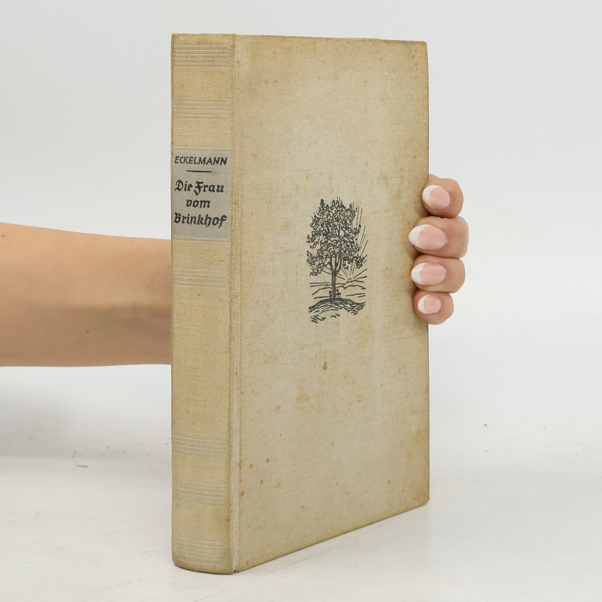 Elisabeth Christine Eckelmann Die Frau vom Brinkhof