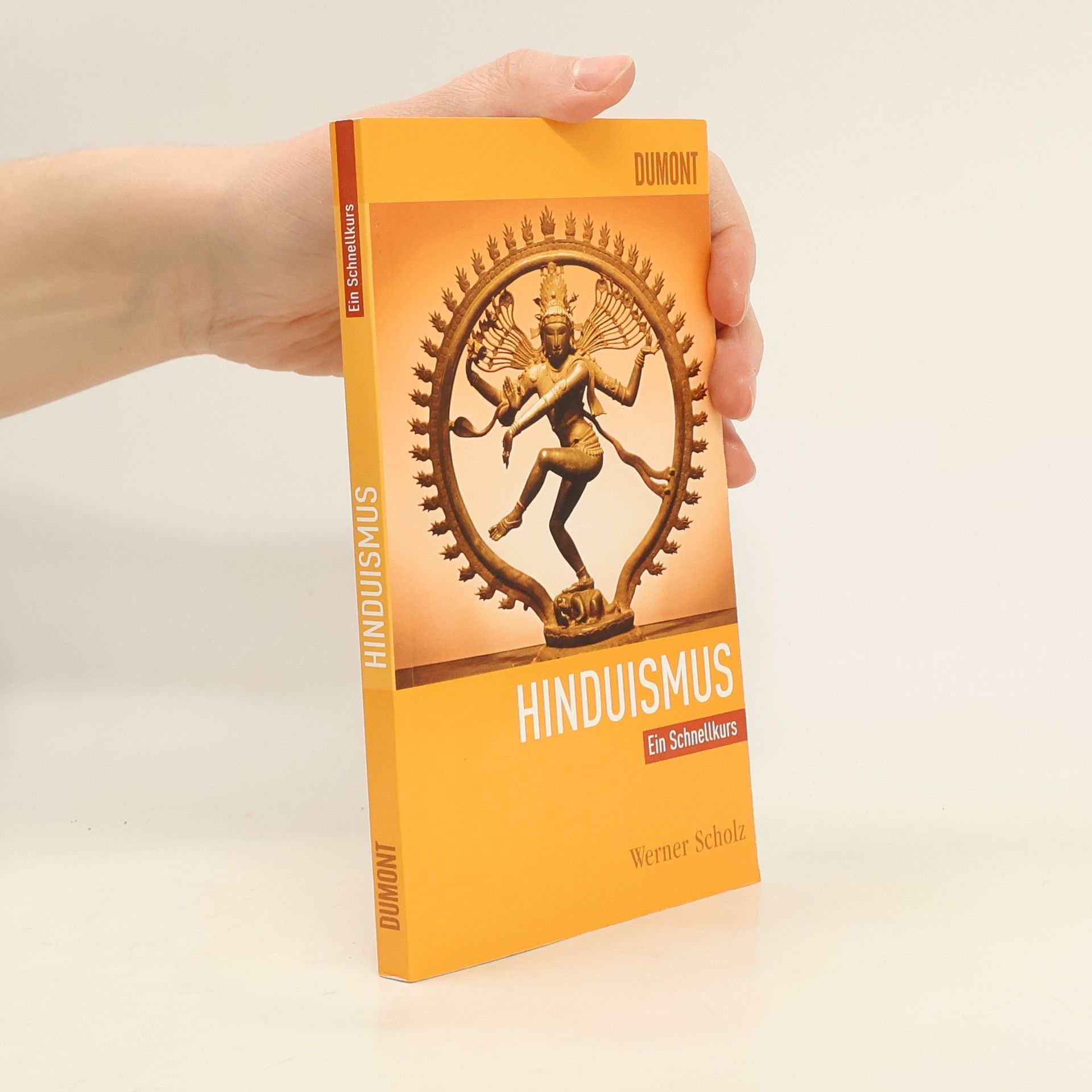 Werner Scholz Hinduismus