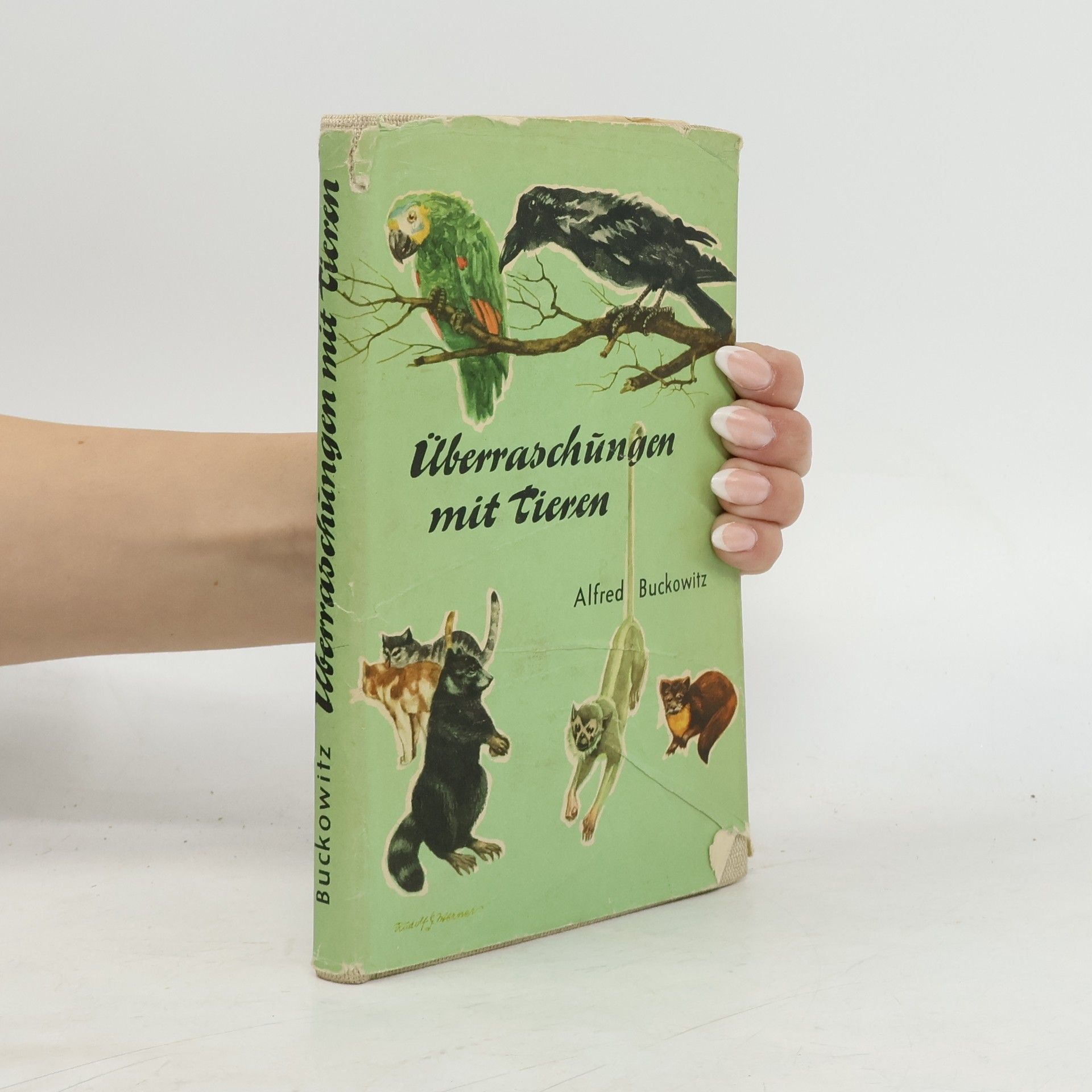 Überraschungen mit Tieren