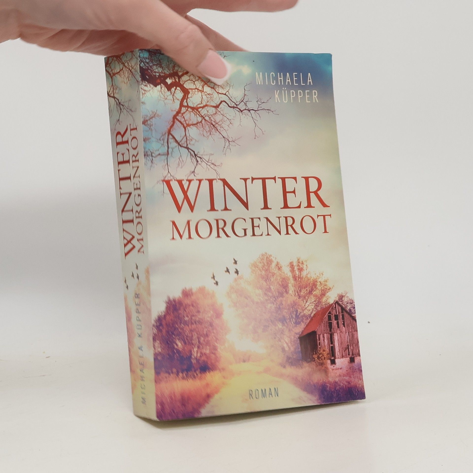 Michaela Küpper Winter Morgenrot