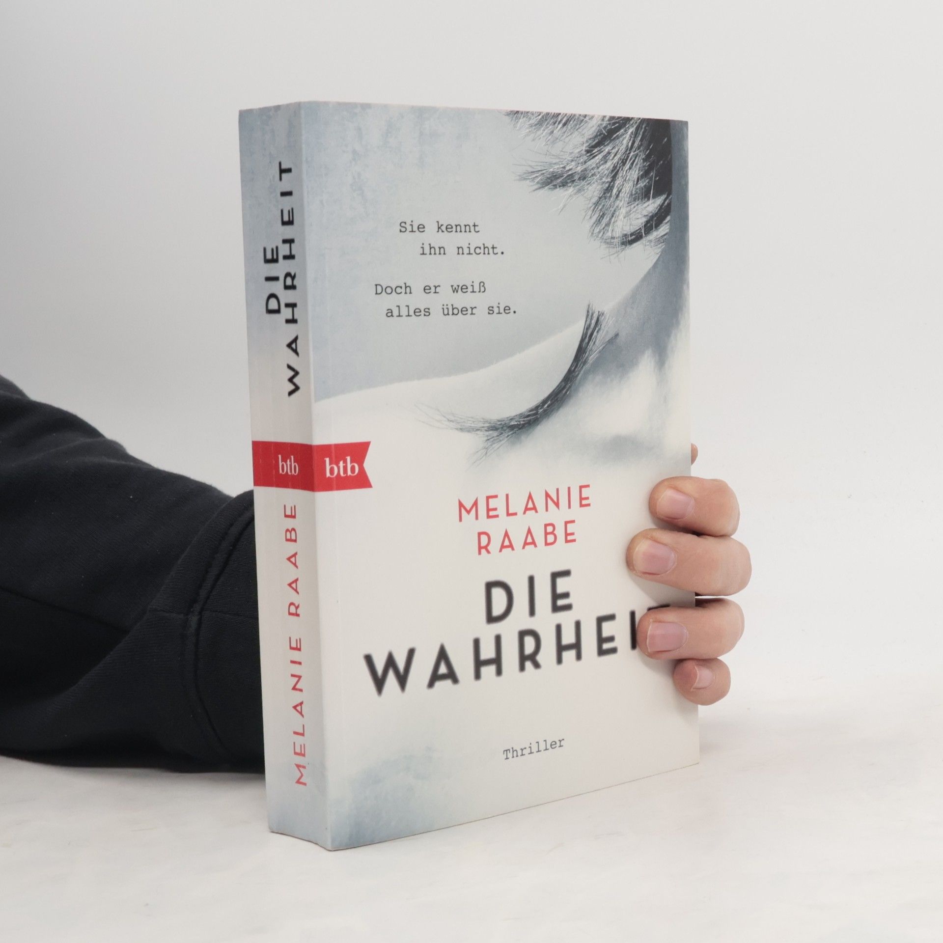 Melanie Raabe Die Wahrheit