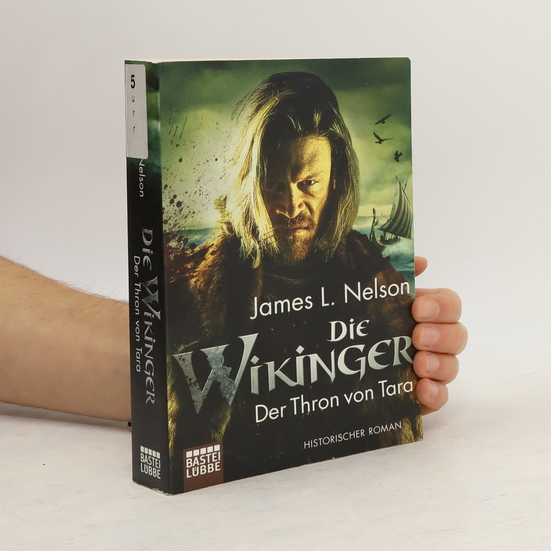 Die Wikinger - der Thron von Tara