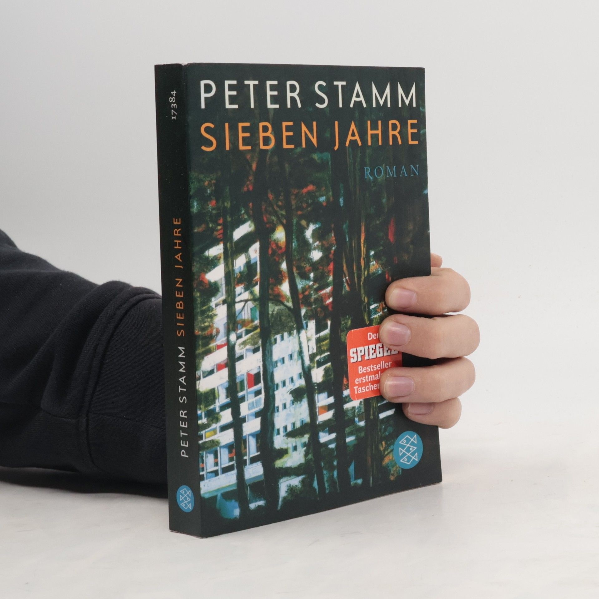 Peter Stamm Sieben Jahre