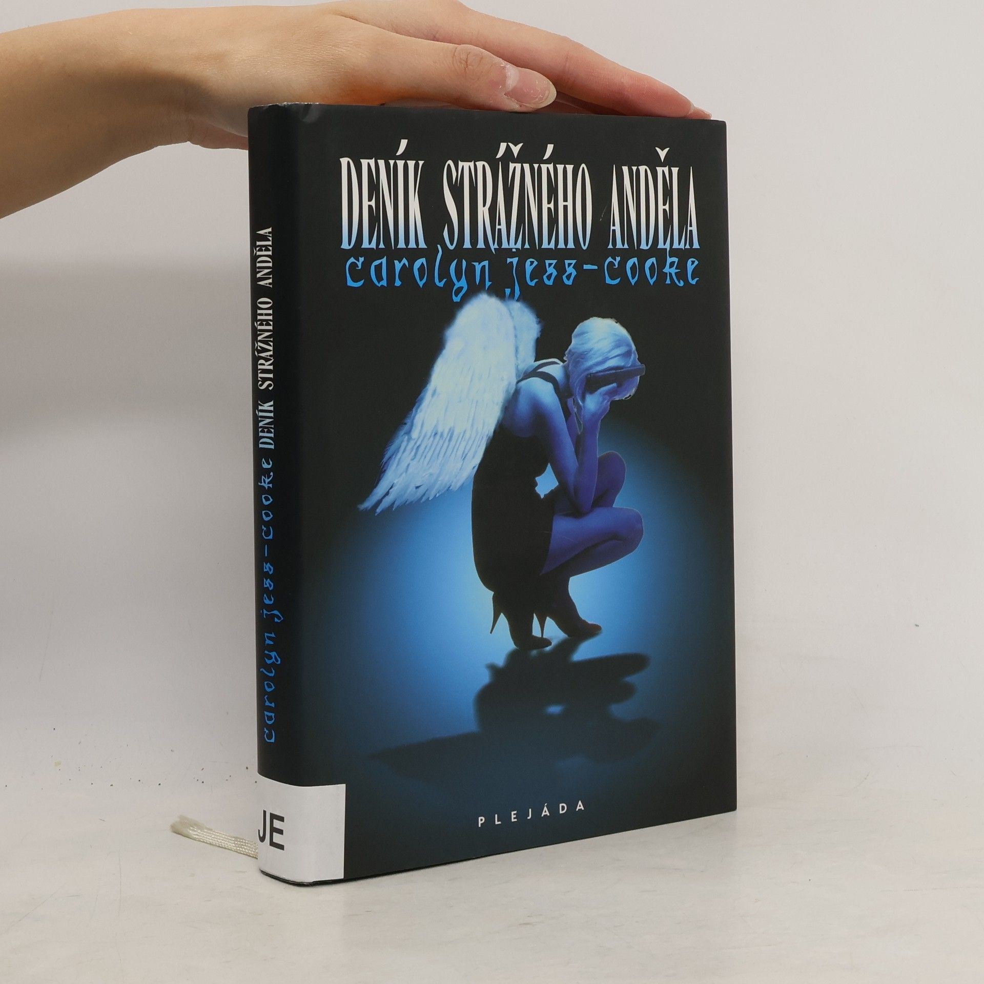 Carolyn Jess-Cooke Deník strážného anděla