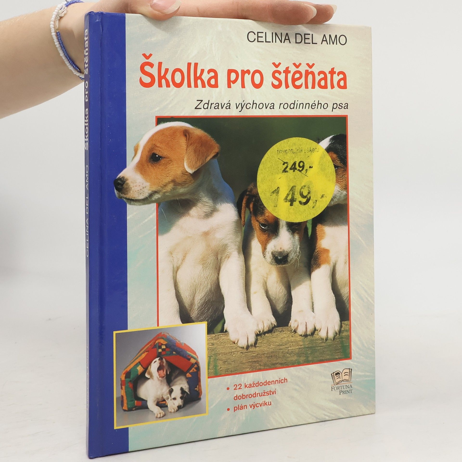 Celina Del Amo Školka pro štěňata: Zdravá výchova rodinného psa