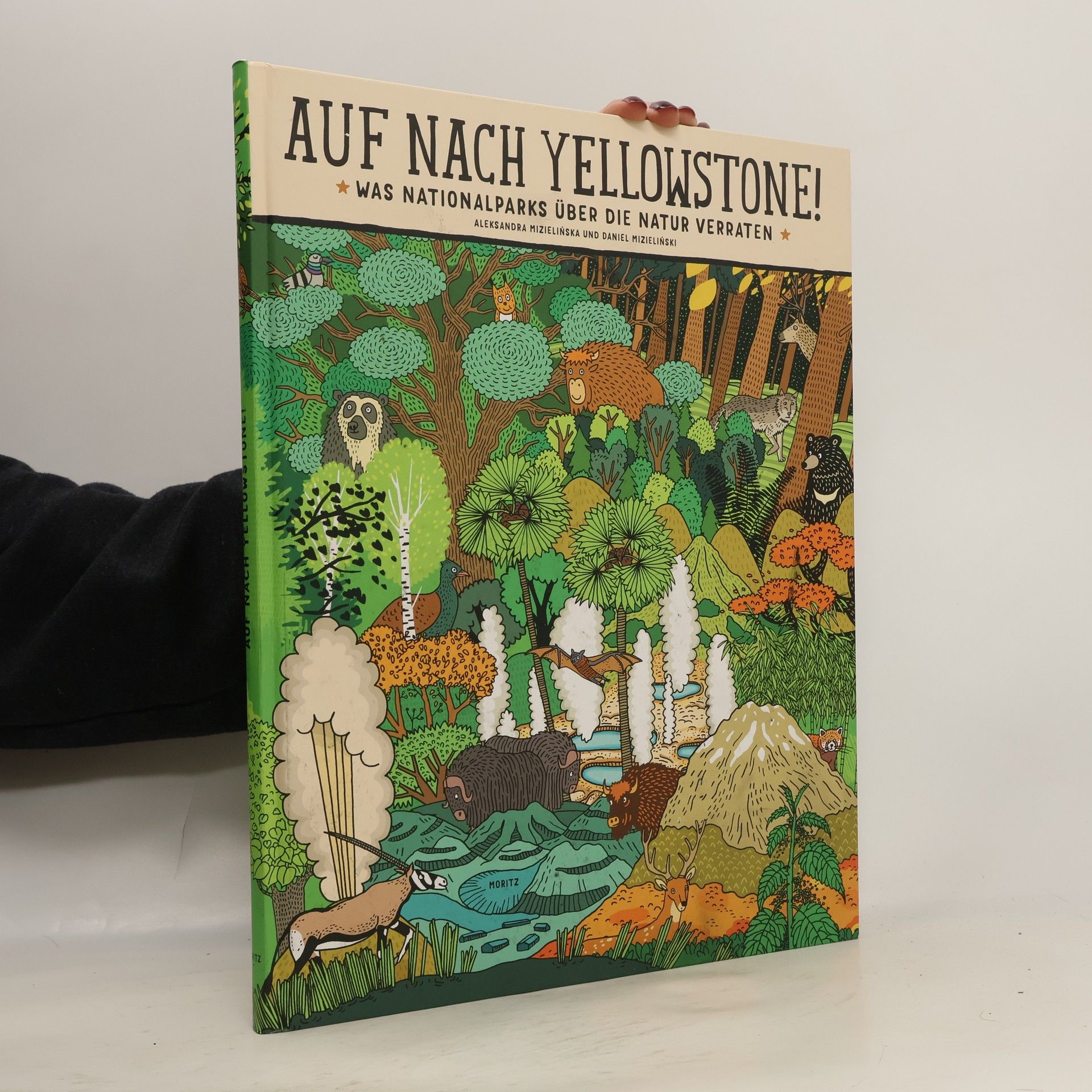 Auf nach Yellowstone!