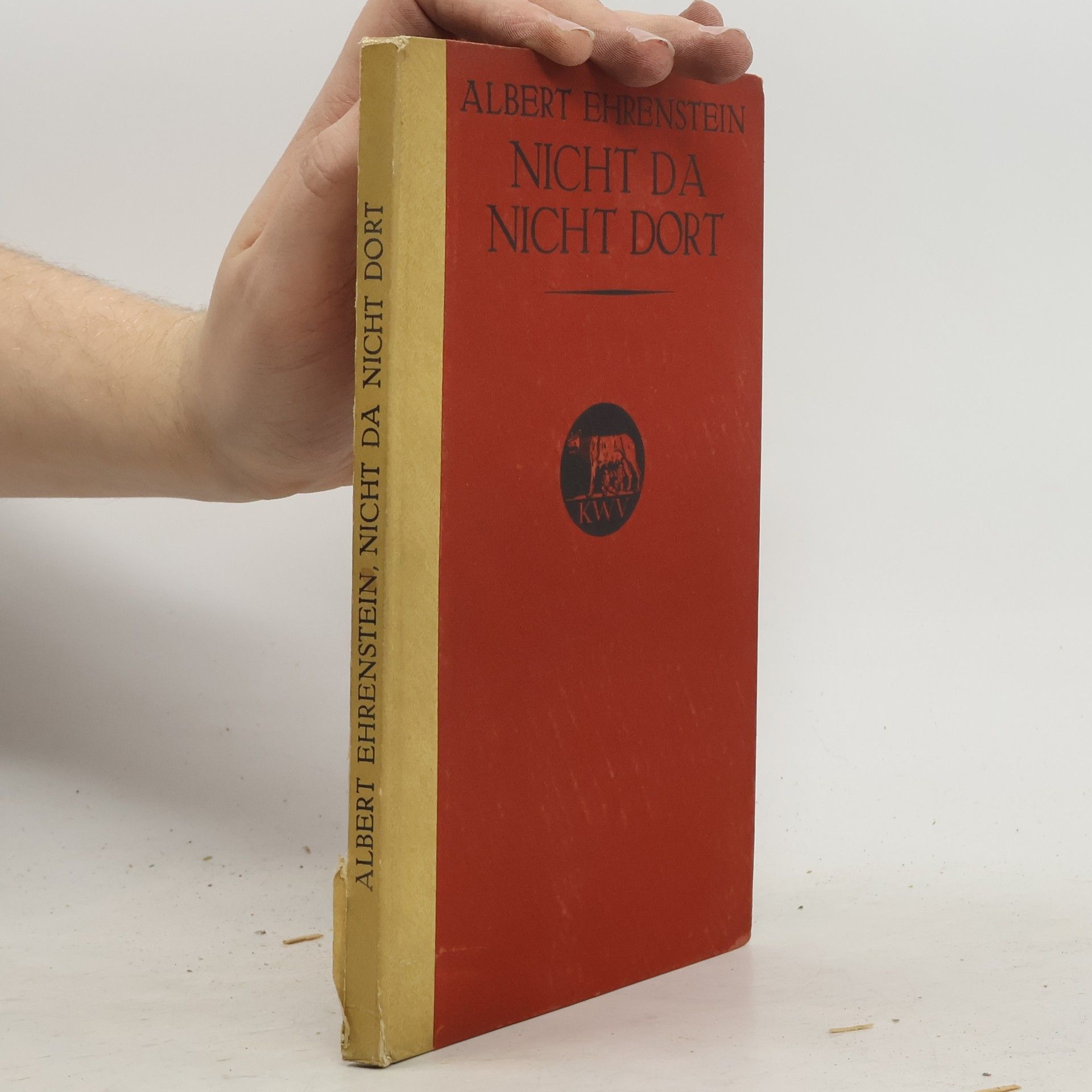 Albert Ehrenstein Nicht da, nicht dort