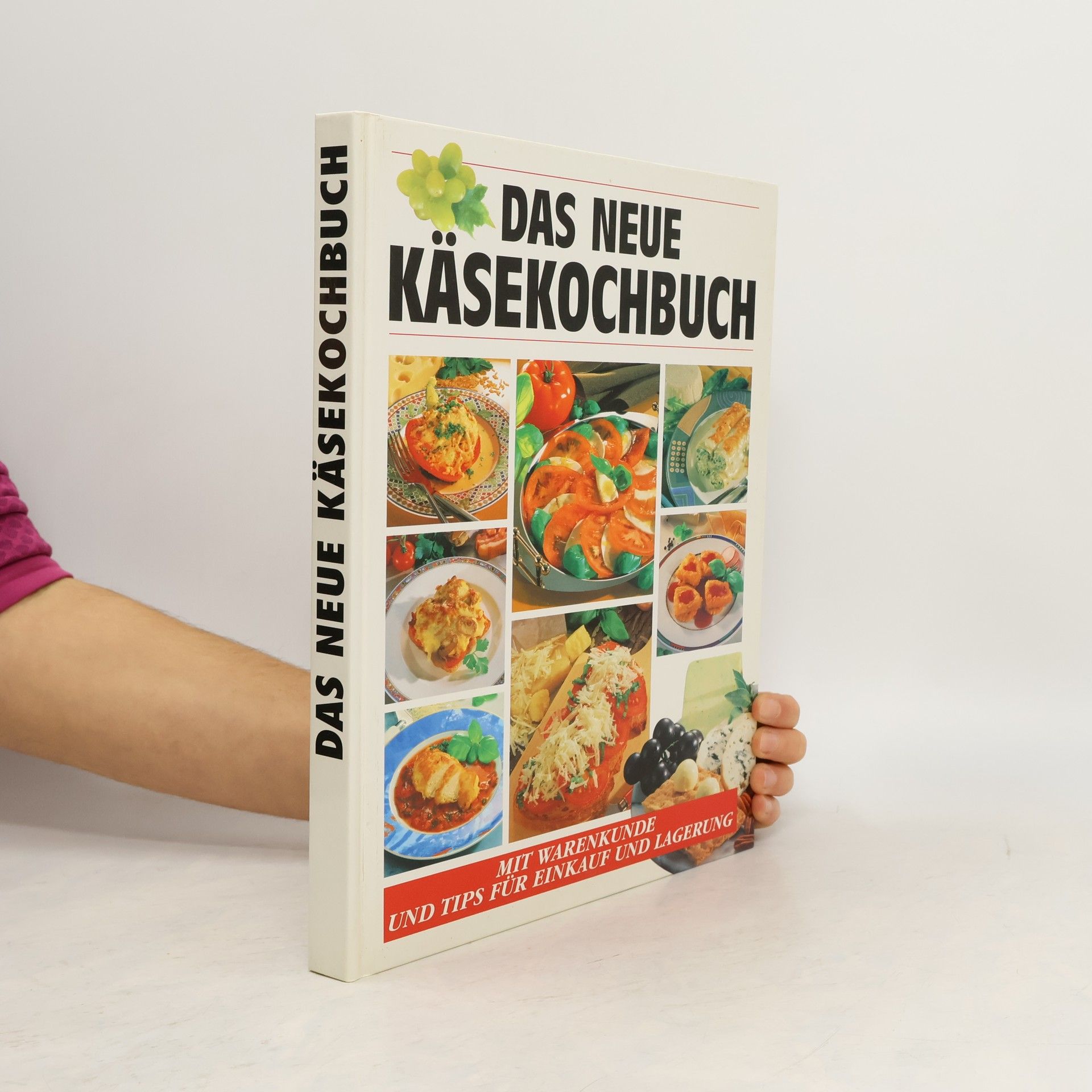 Autores varios Das neue Käsekochbuch