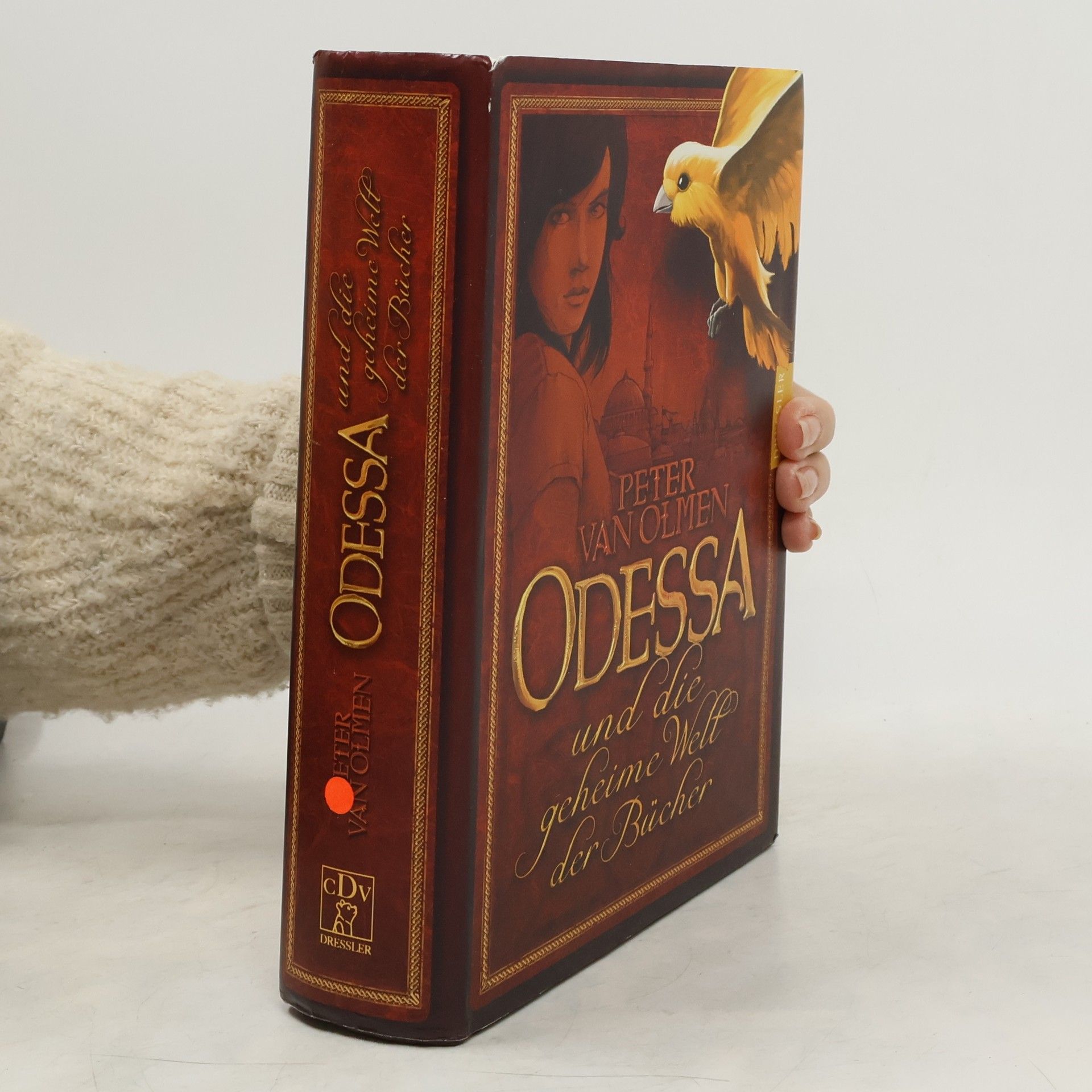 Peter Van Olmen Odessa und die geheime Welt der Bücher