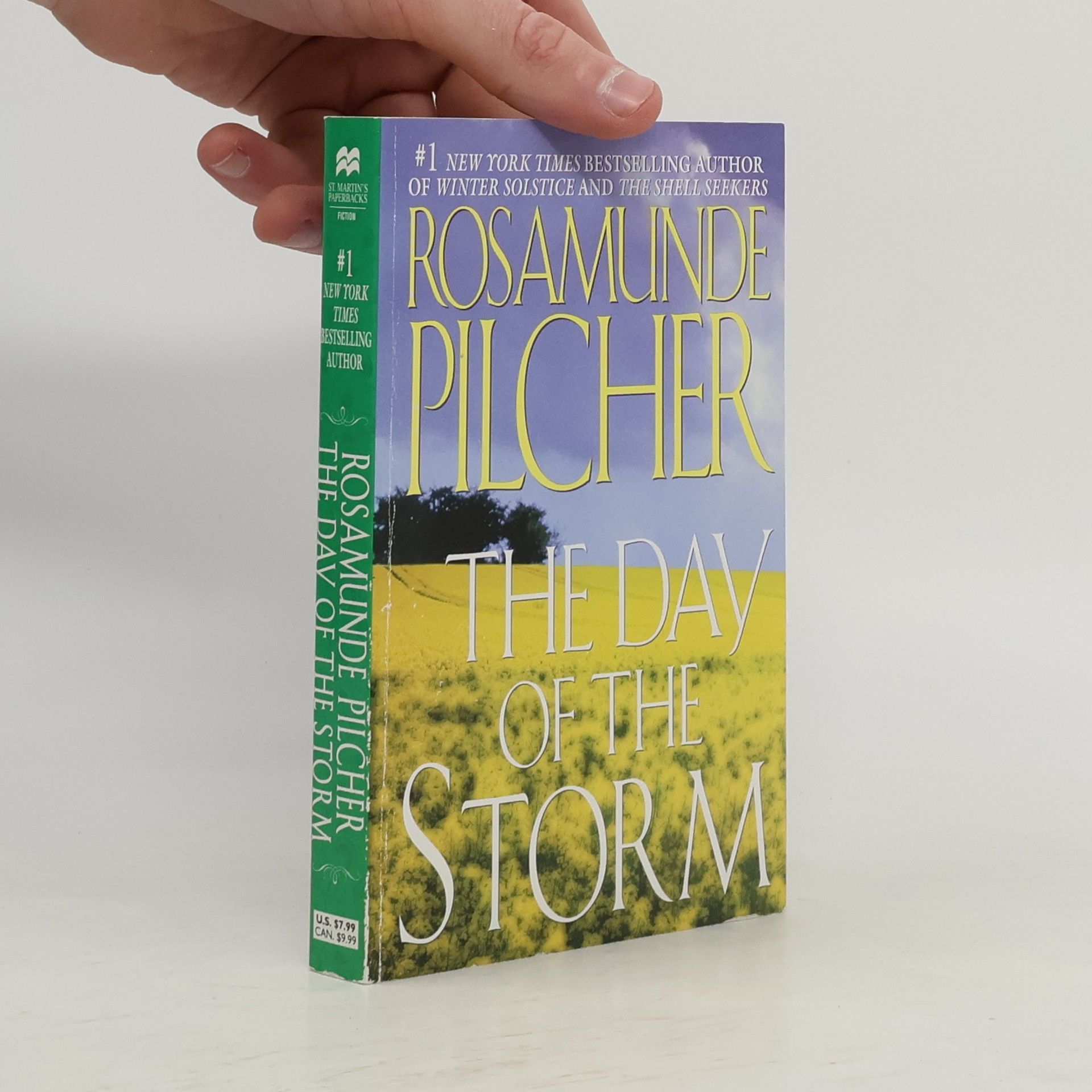 Rosamunde Pilcher The Day of the Storm