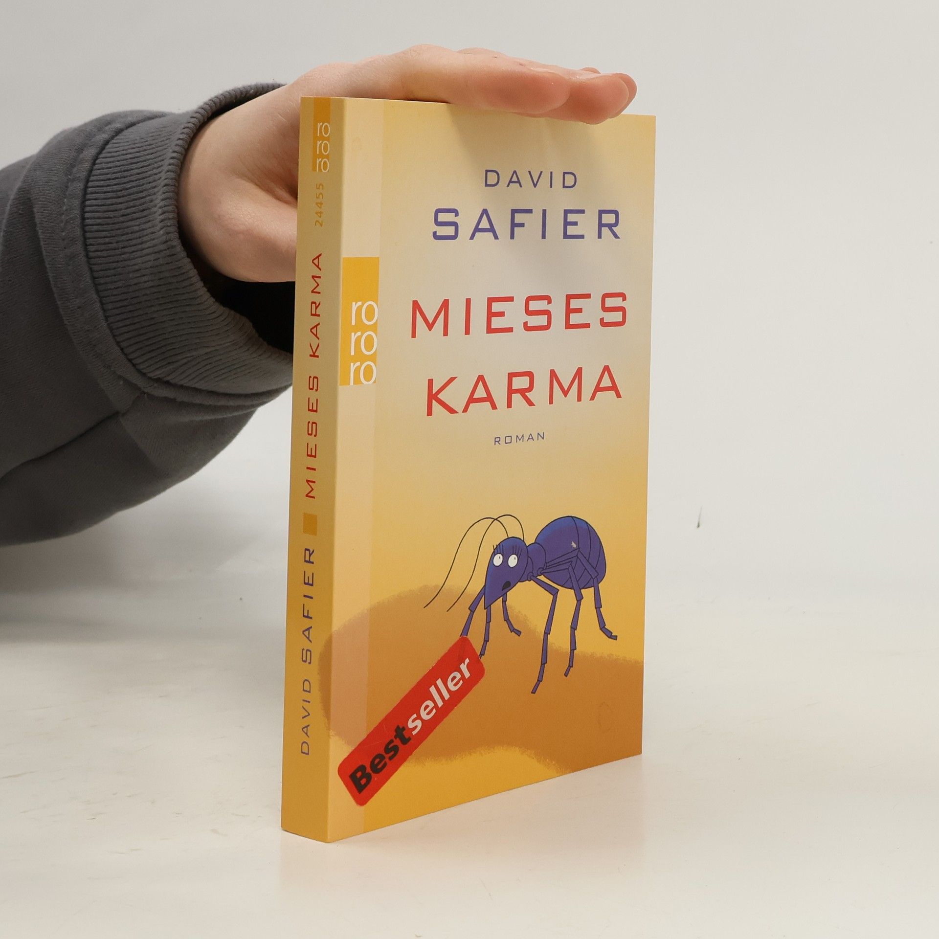 David Safier Mieses Karma