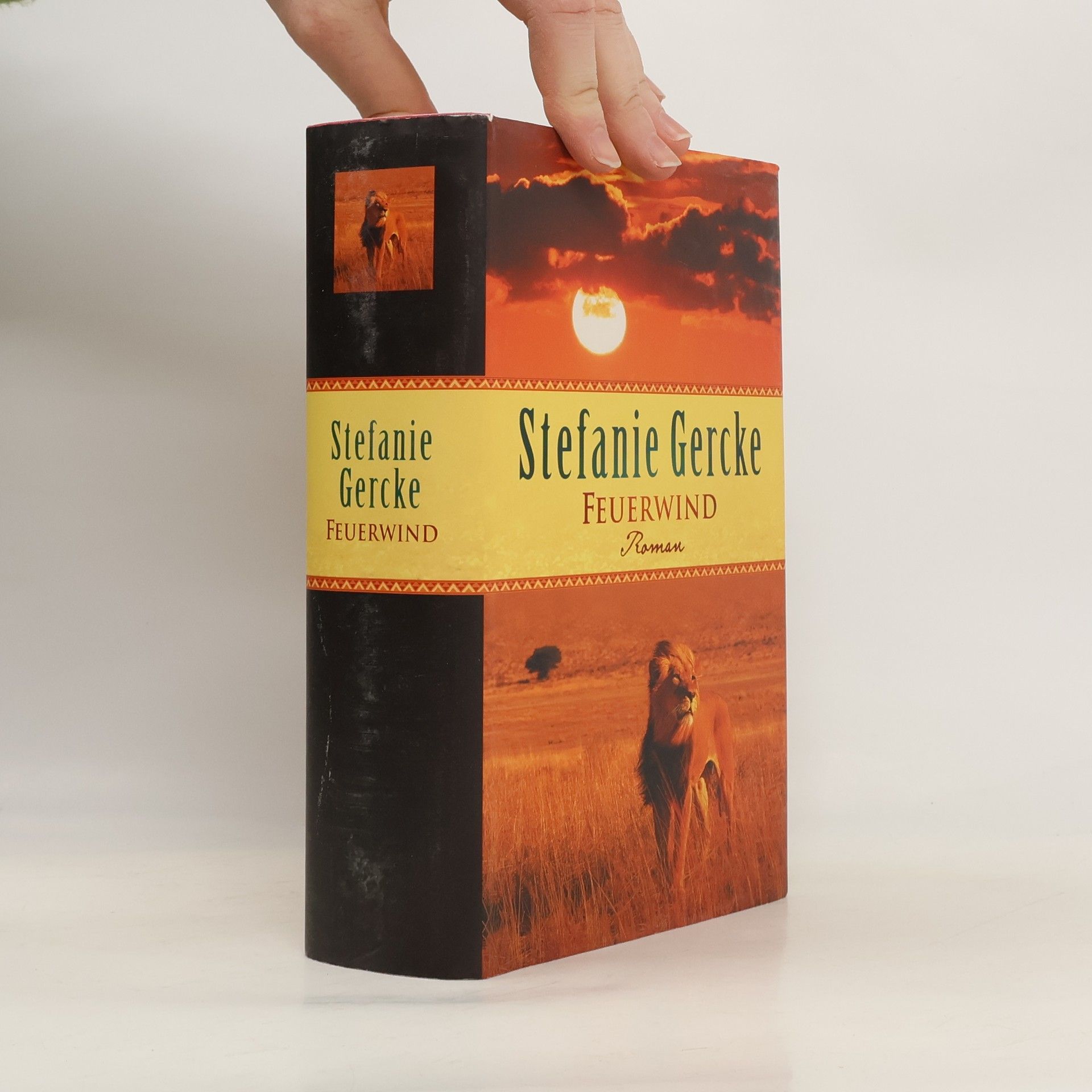 Stefanie Gercke Feuerwind