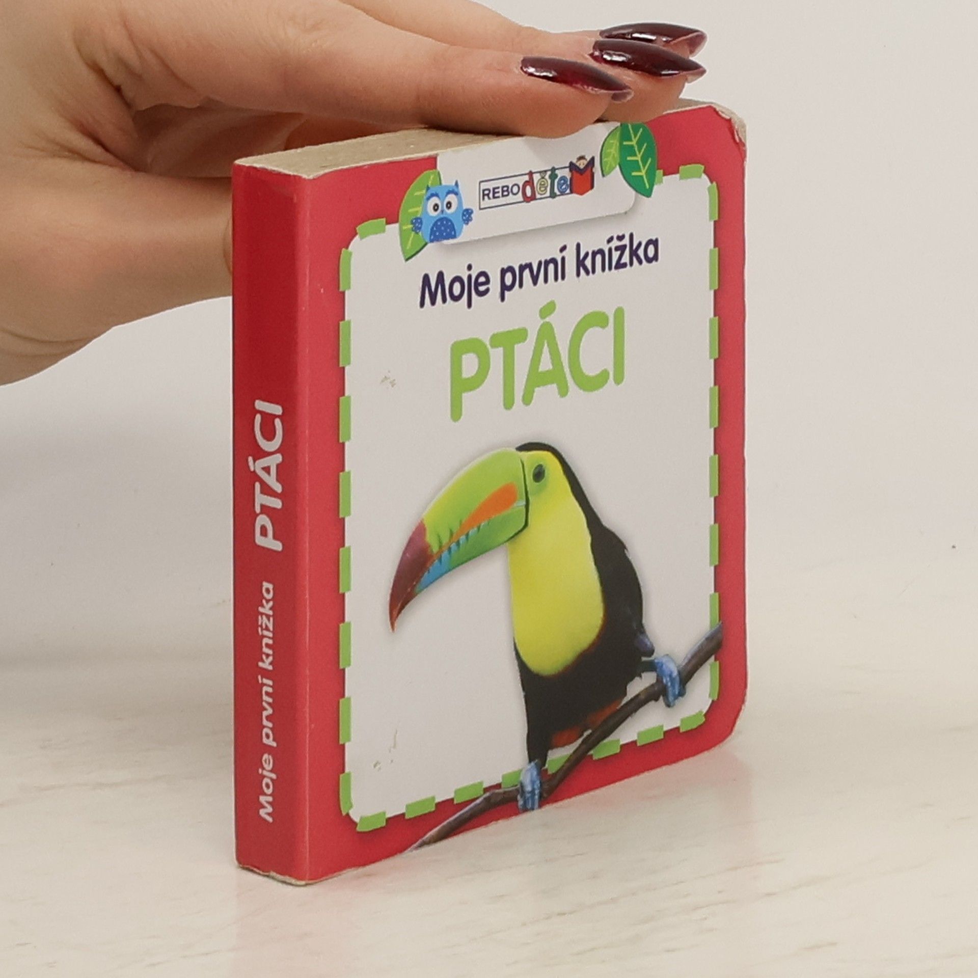 Kolektiv autorů Moje první knížka. Ptáci