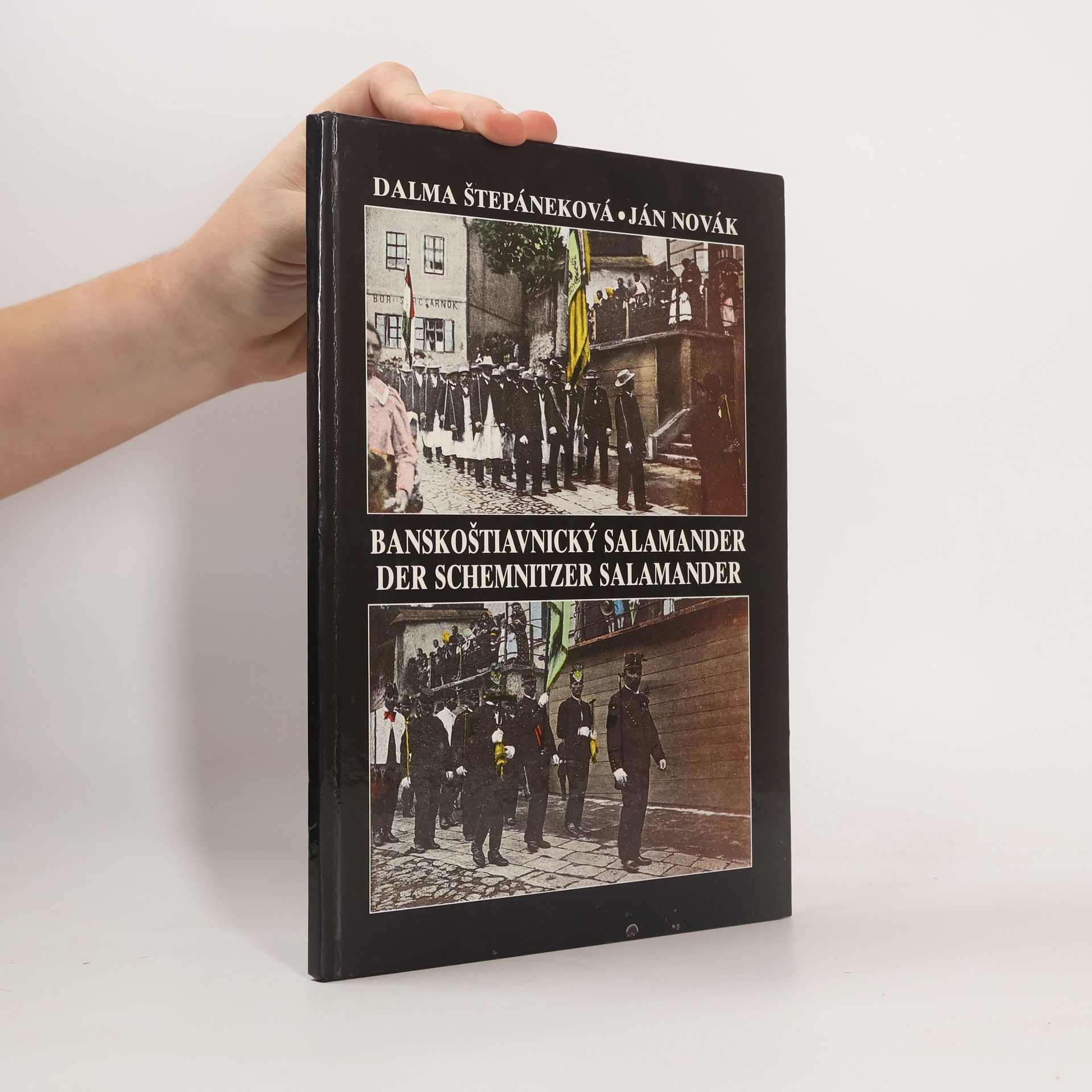 Banskoštiavnický salamander