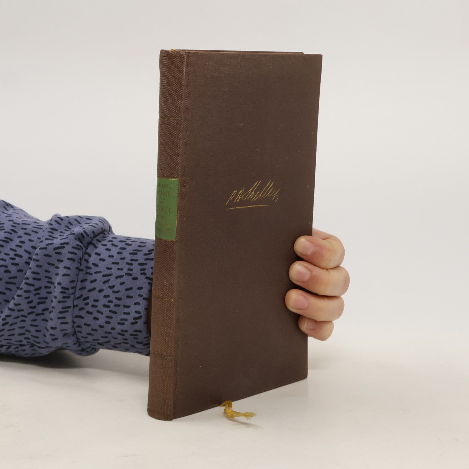 Ariel oder das Leben Shelleys