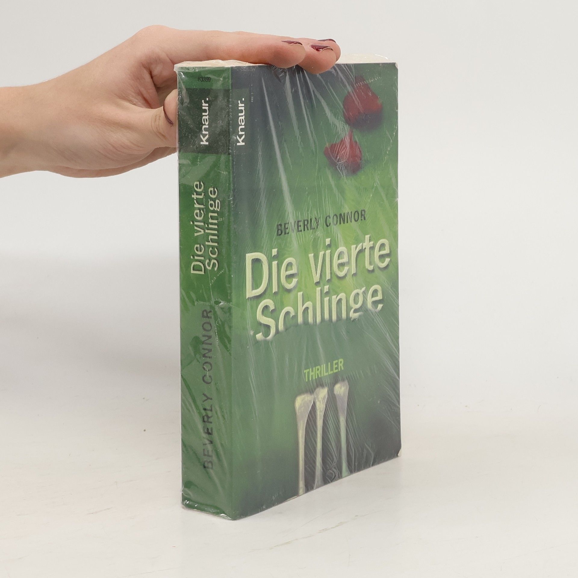 Beverly Connor Die vierte Schlinge