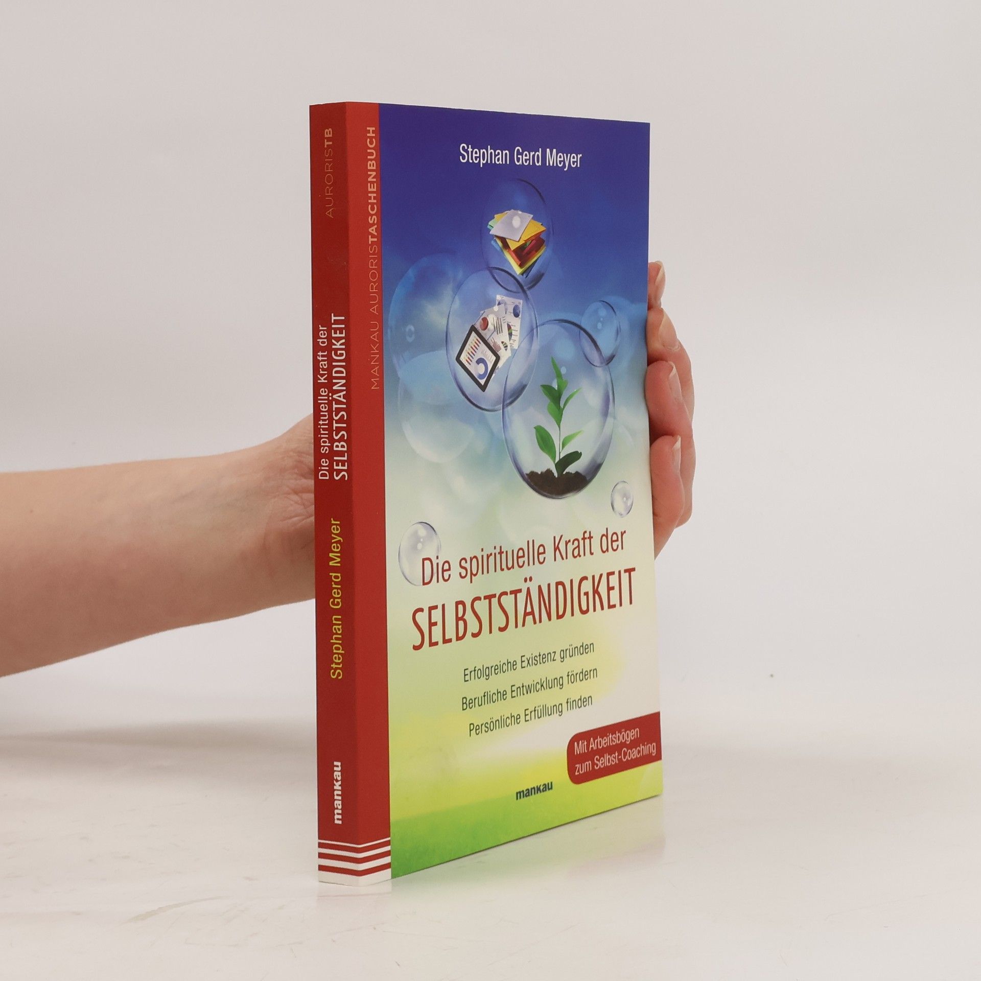Stephan Gerd Meyer Die spirituelle Kraft der Selbstständigkeit