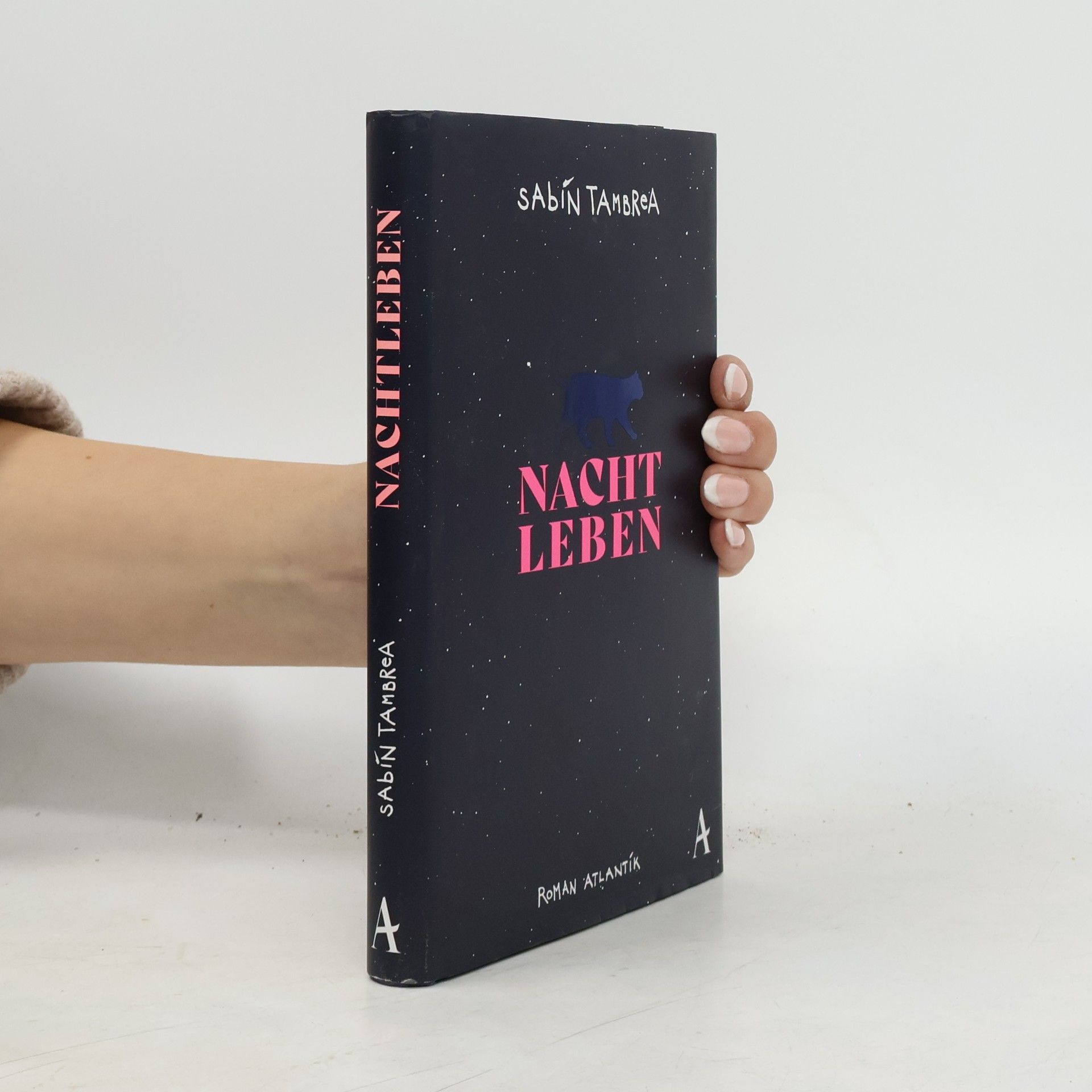 Sabin Tambrea Nachtleben : Roman