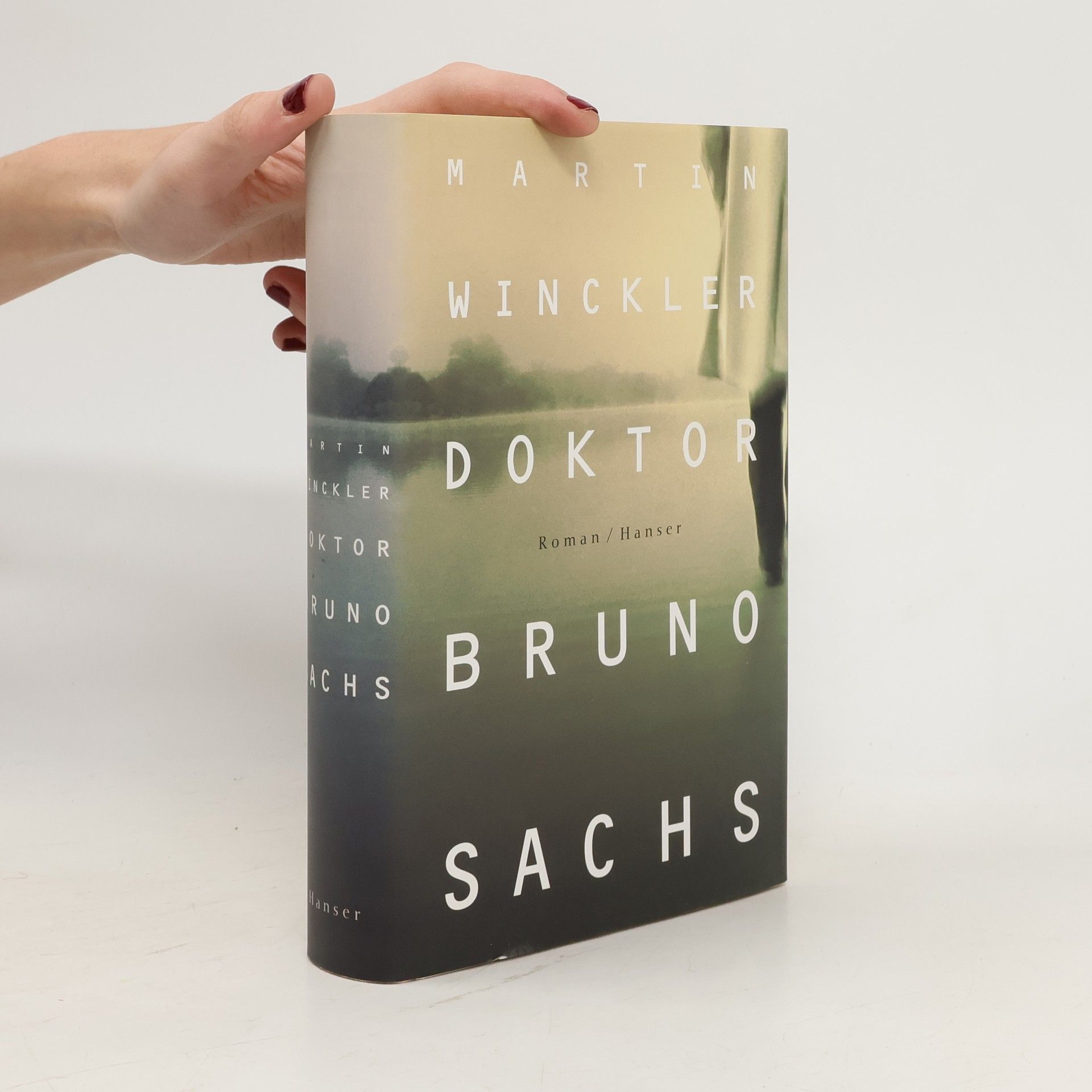 Martin Winckler Doktor Bruno Sachs