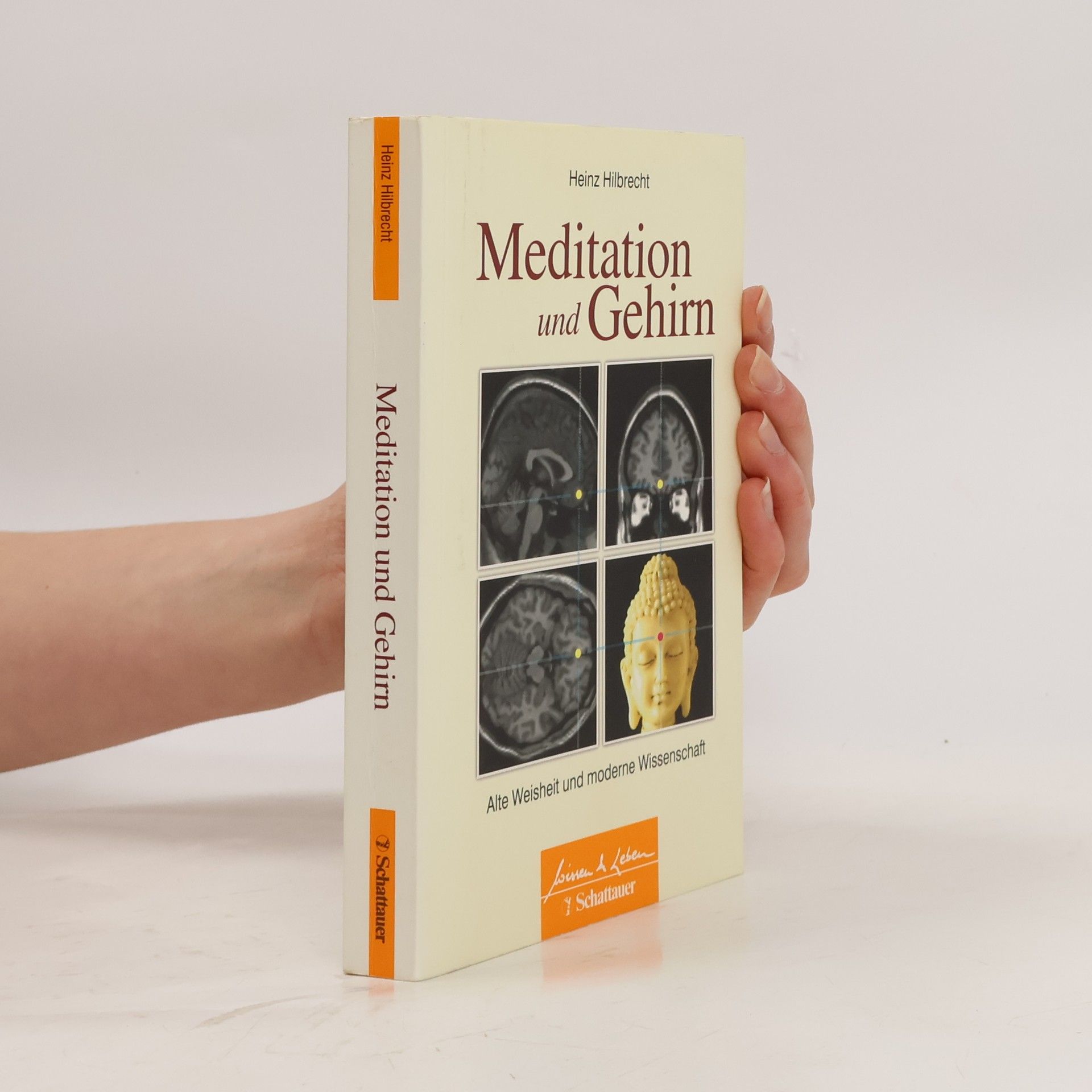 Heinz Hilbrecht Meditation und Gehirn