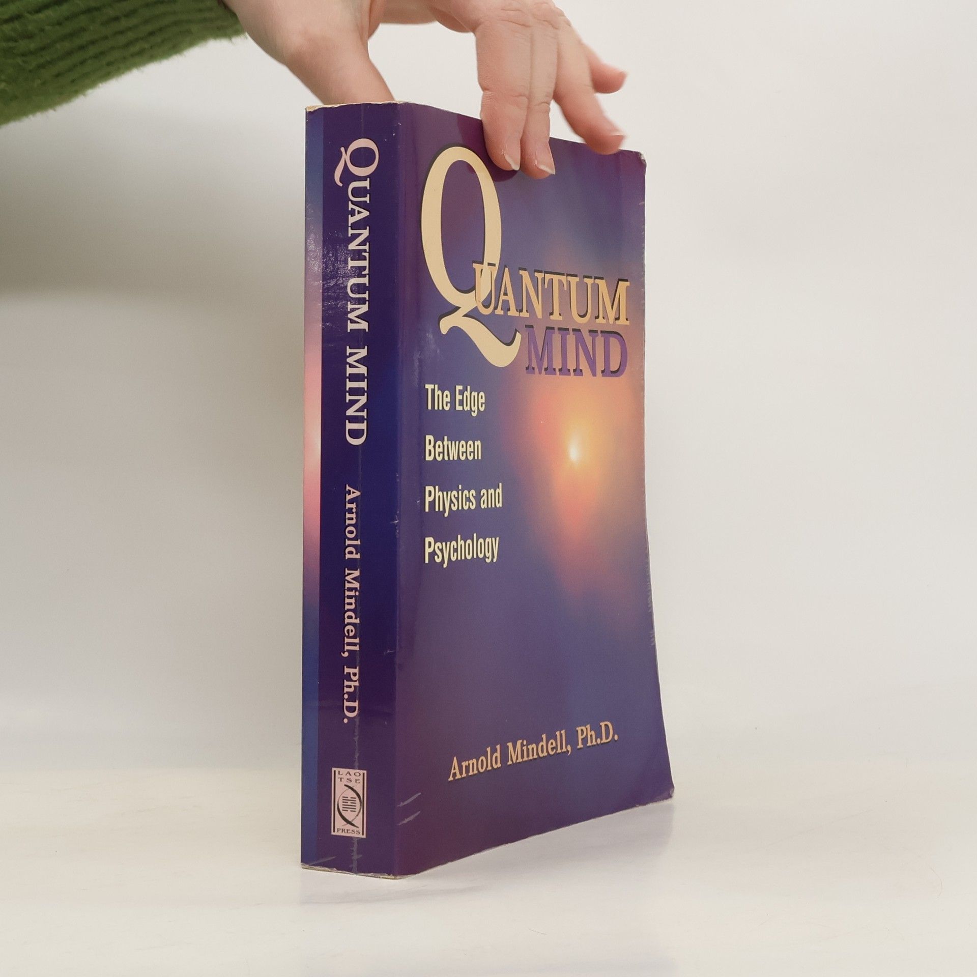 Arnold Mindell Quantum Mind