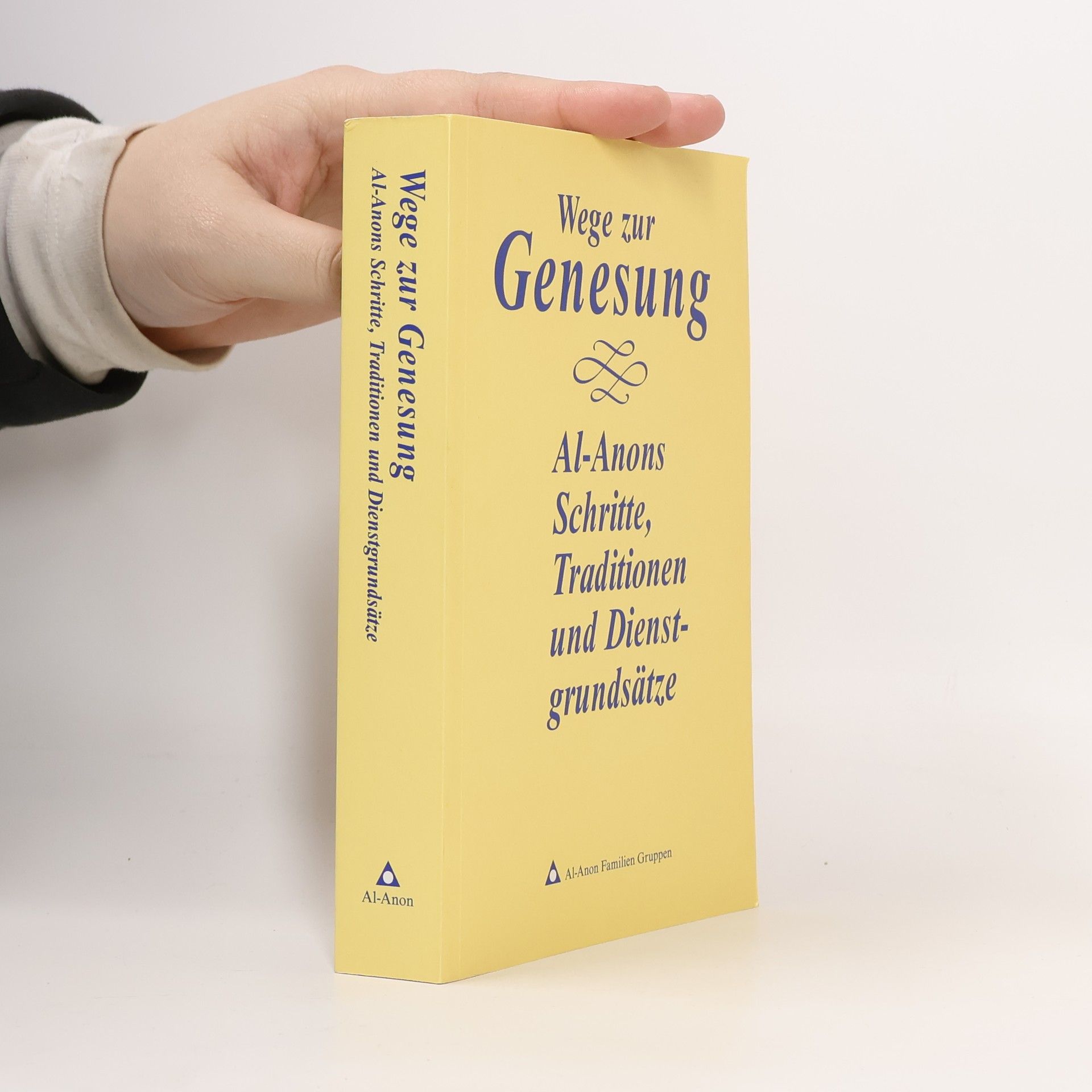 Autores varios Wege zur Genesung
