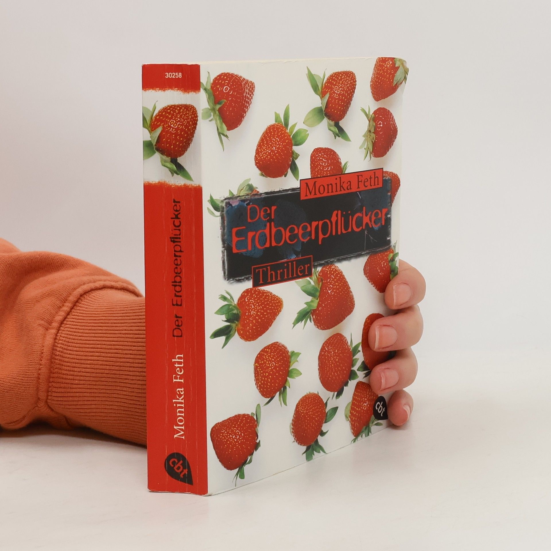 Monika Feth Der Erdbeerpflücker