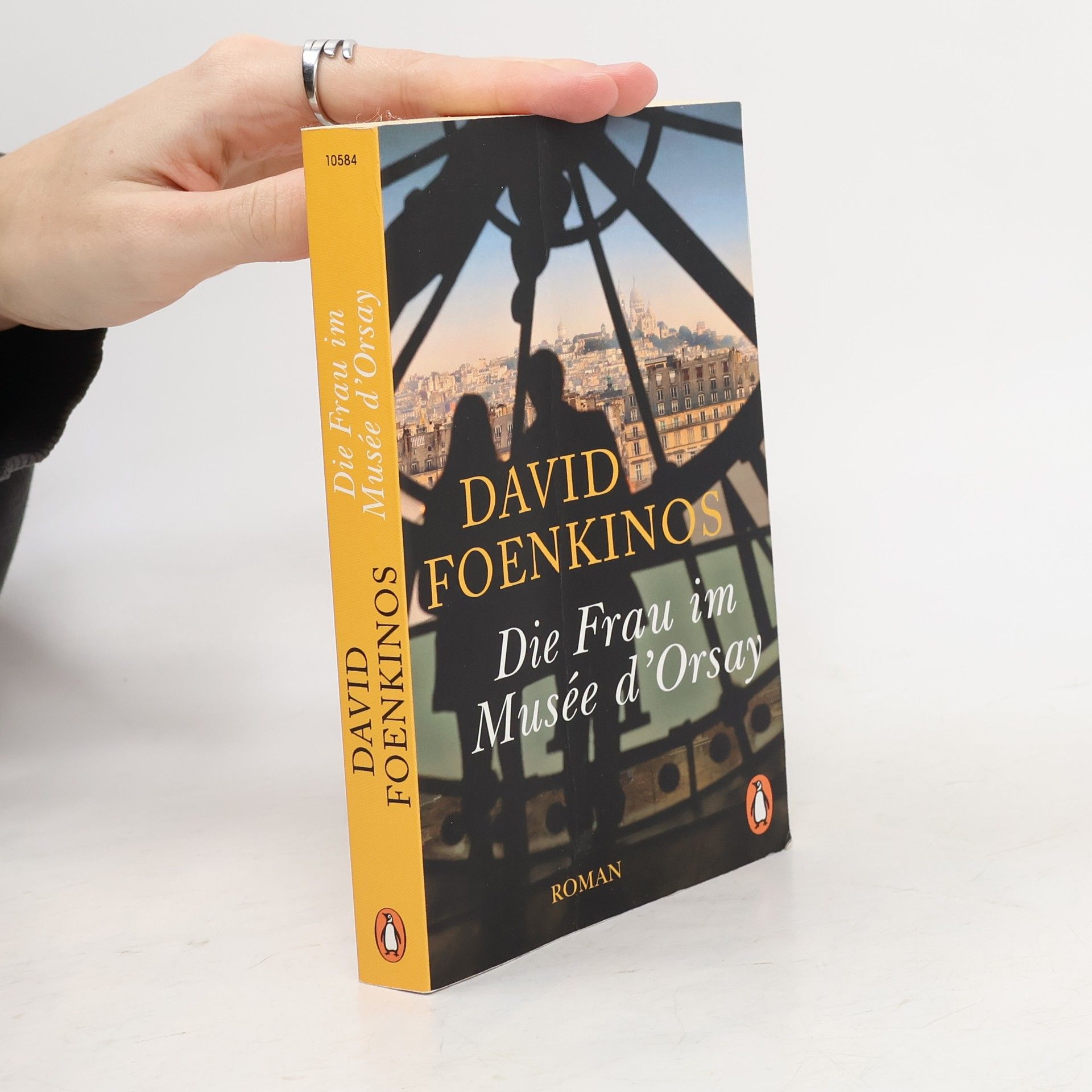 David Foenkinos Die Frau im Musée d'Orsay