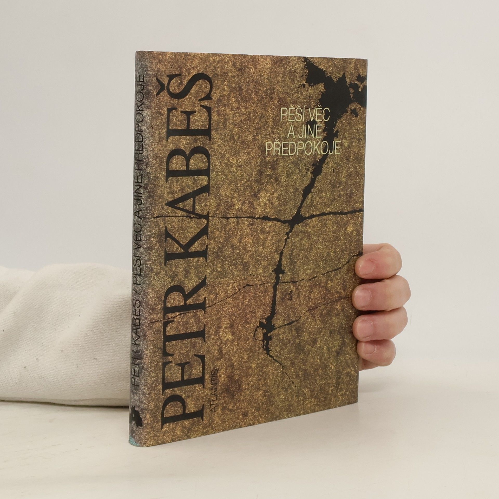 Pěší věc a jiné předpokoje