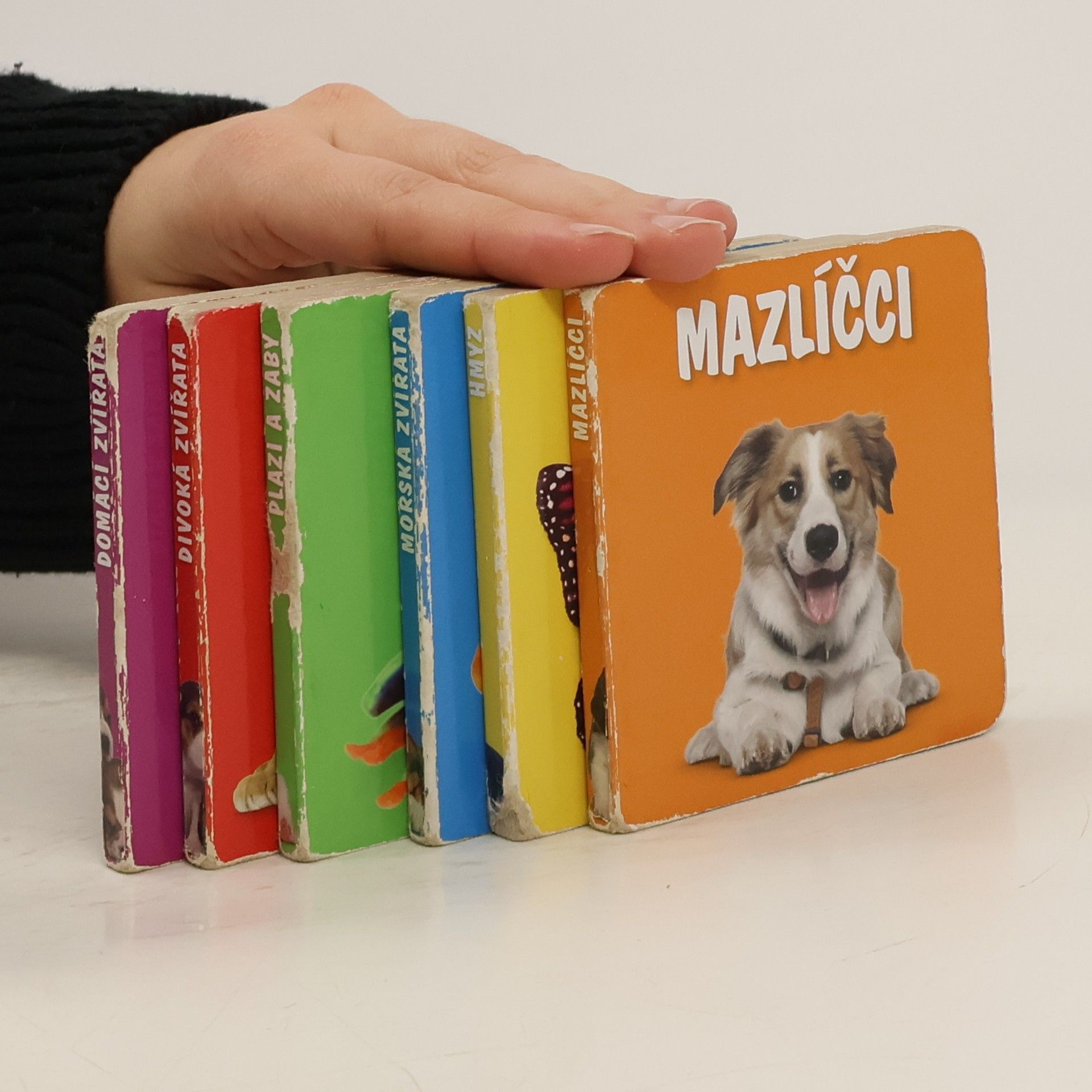 Kolektív autorov Mazlíčci. Hmyz. Mořská zvířata. Plazi a žáby. Divoká zvířata. Domácí zvířata