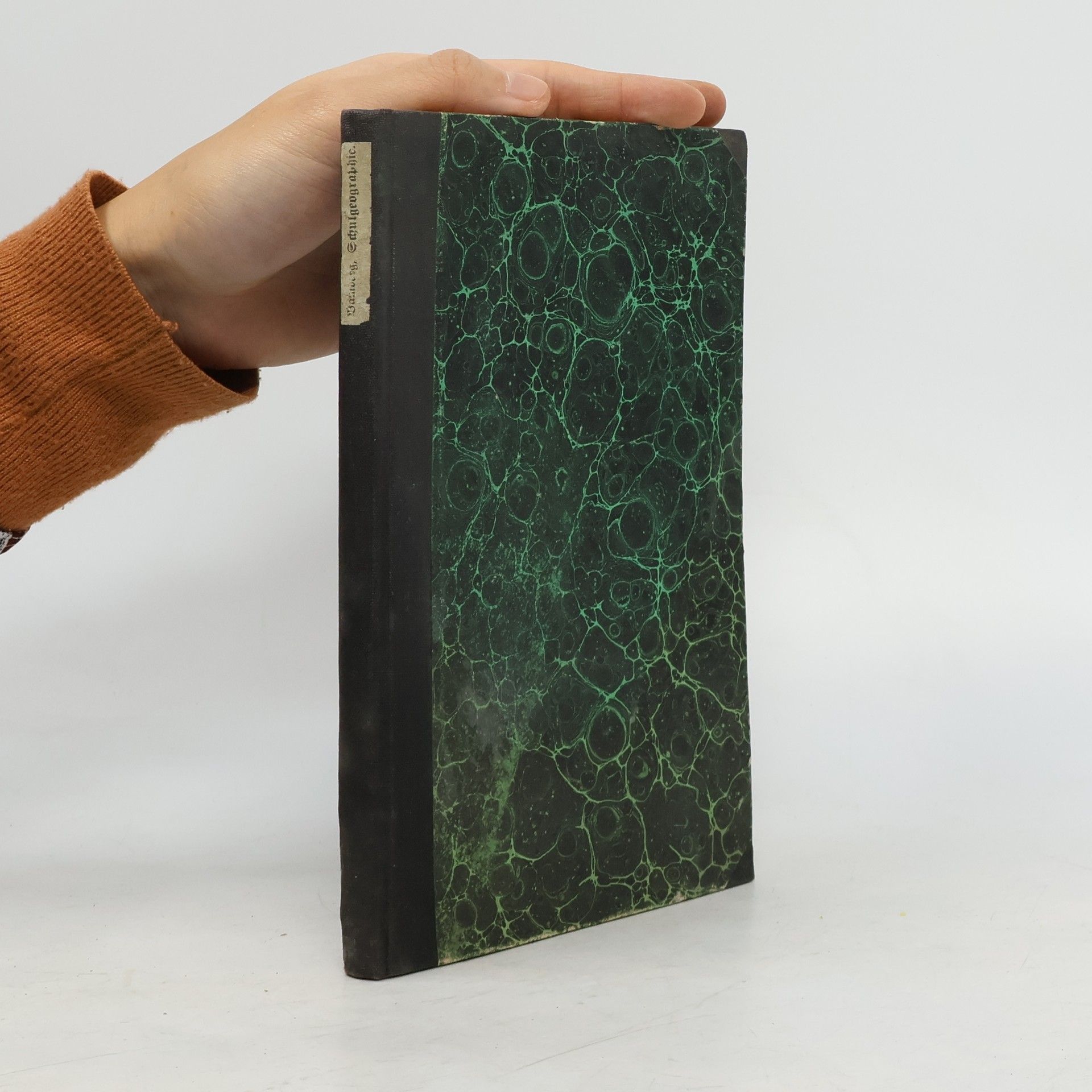 Friedrich Bamberg Schulgeographie nach natürlichen Landschaftsgebieten