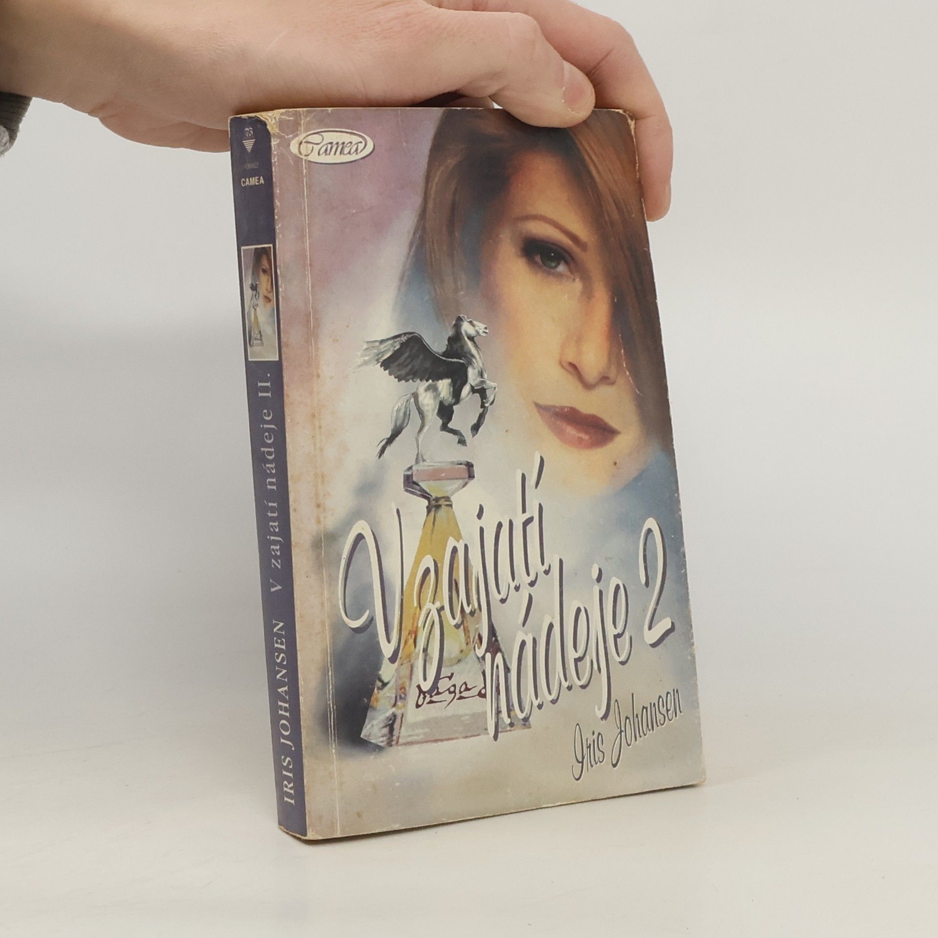 Iris Johansen V zajatí nádeje 2