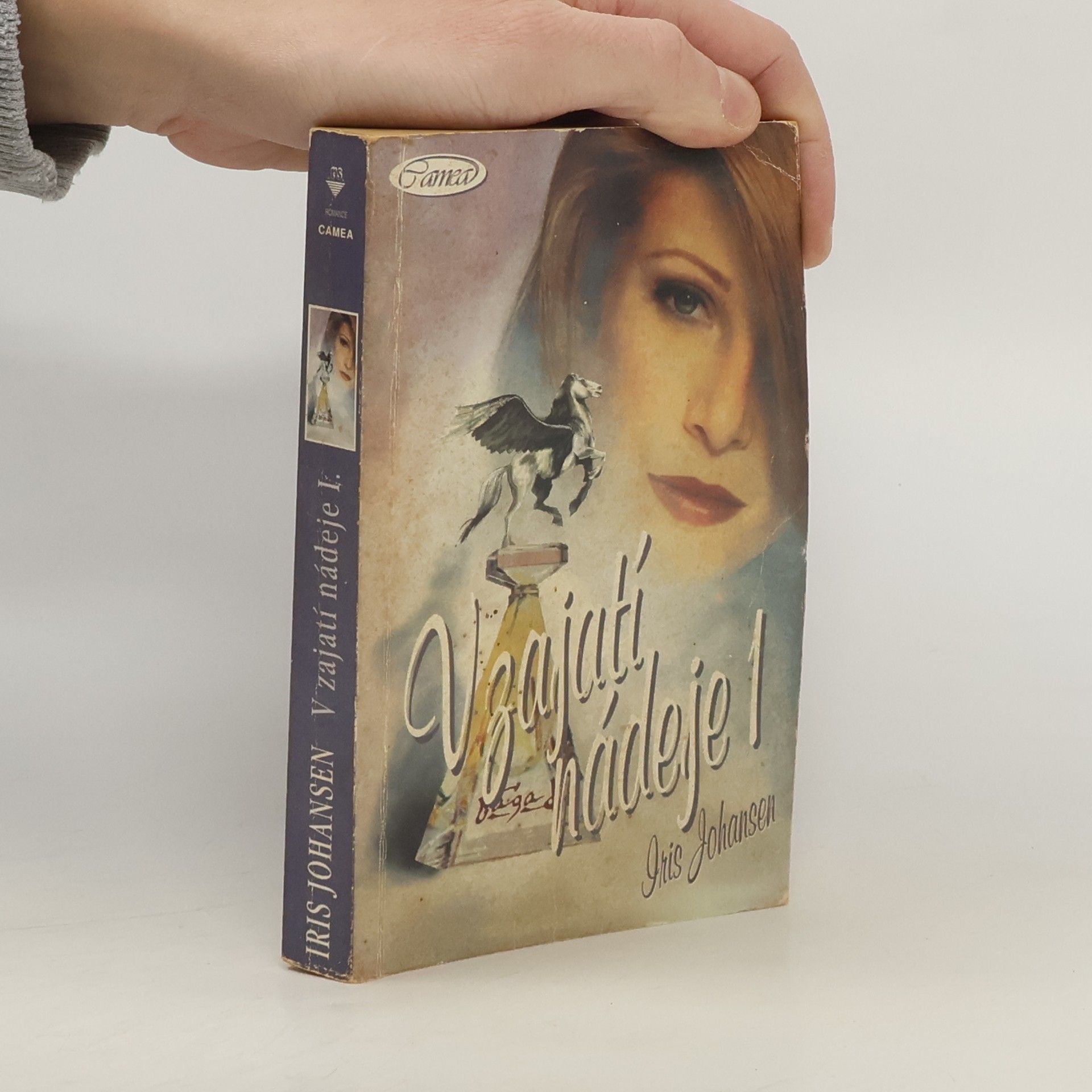 Iris Johansen V zajatí nádeje 1