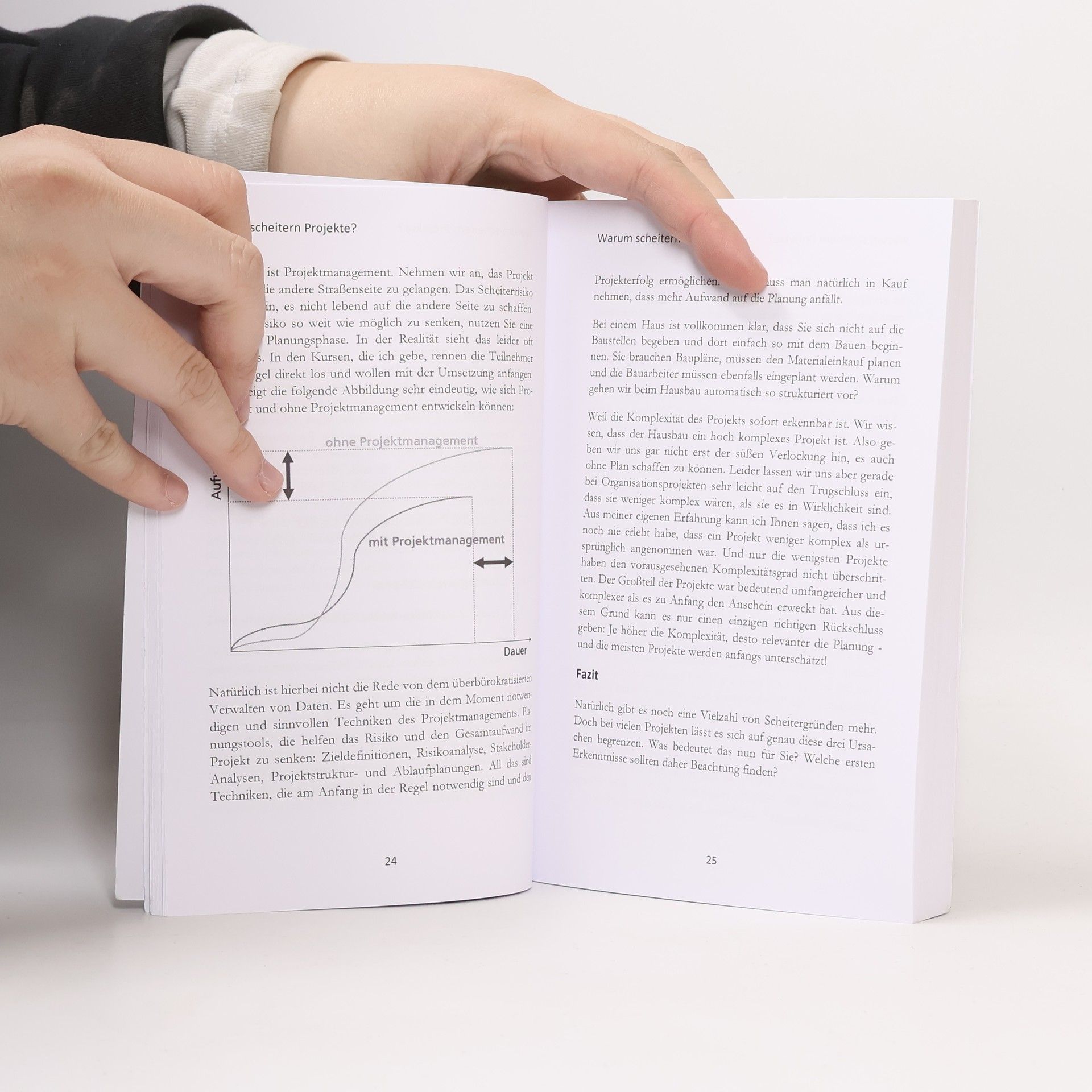 Benjamin Michels Projektmanagement Handbuch