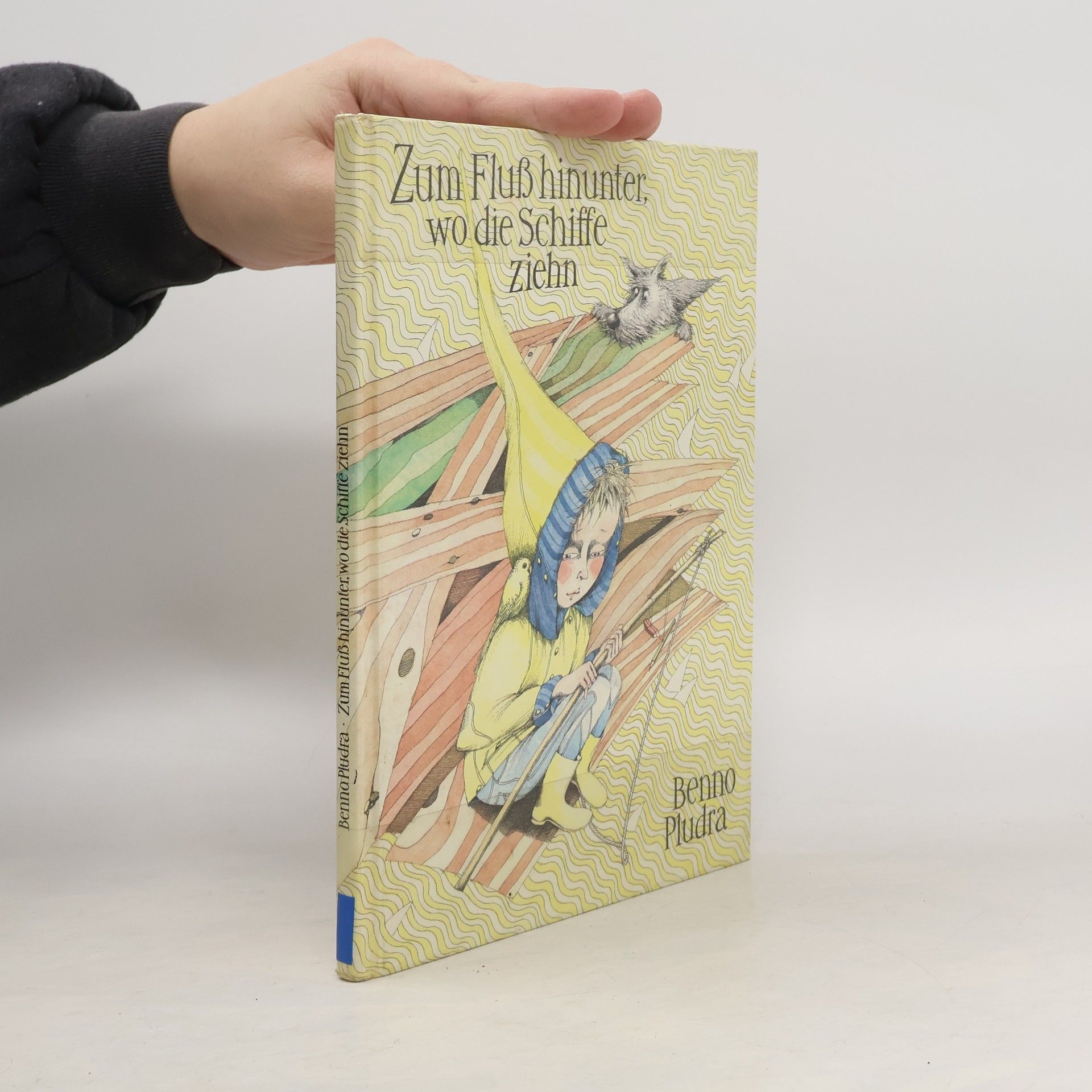 Benno Pludra Zum Fluß hinunter, wo die Schiffe ziehn
