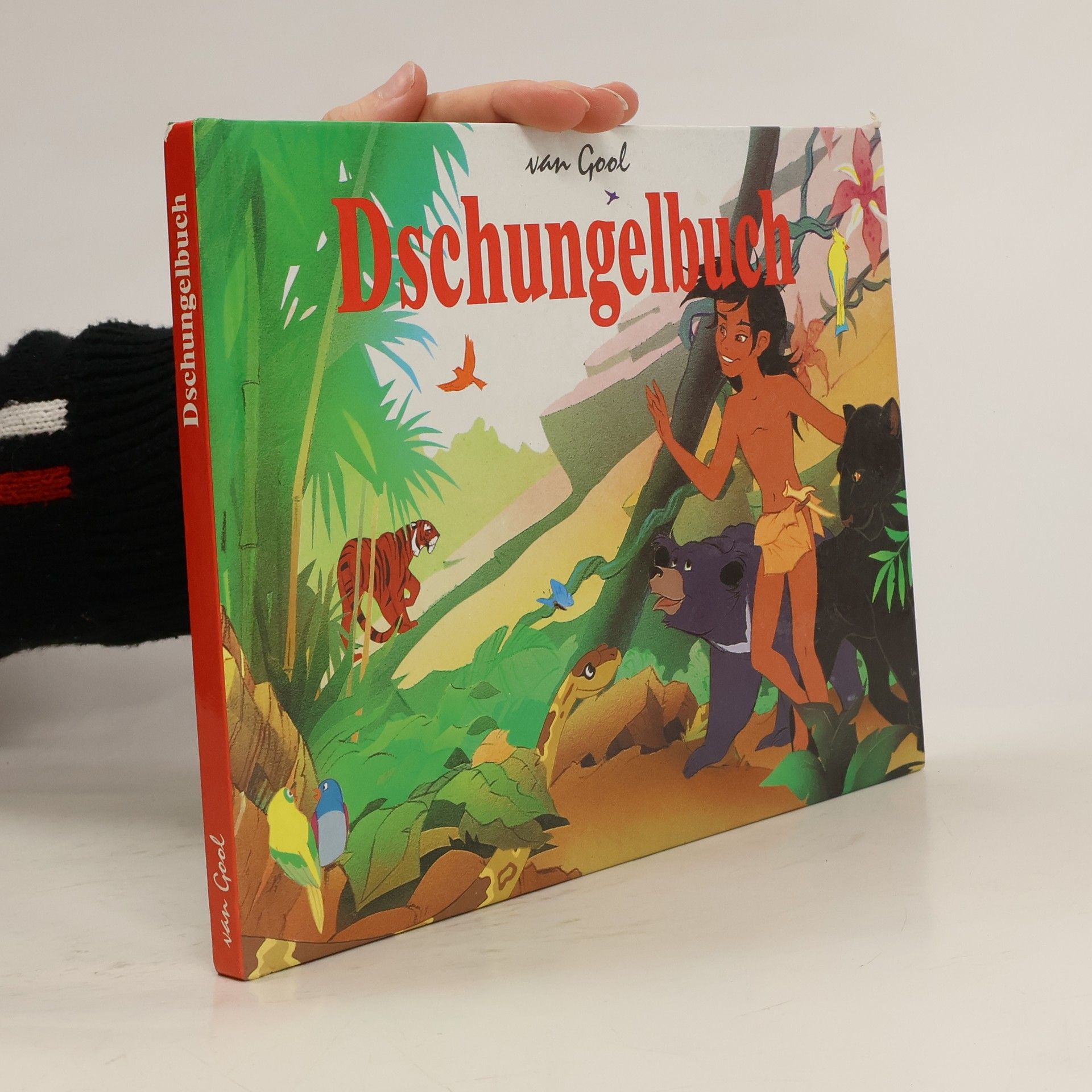 Heike Rahm Das Dschungelbuch