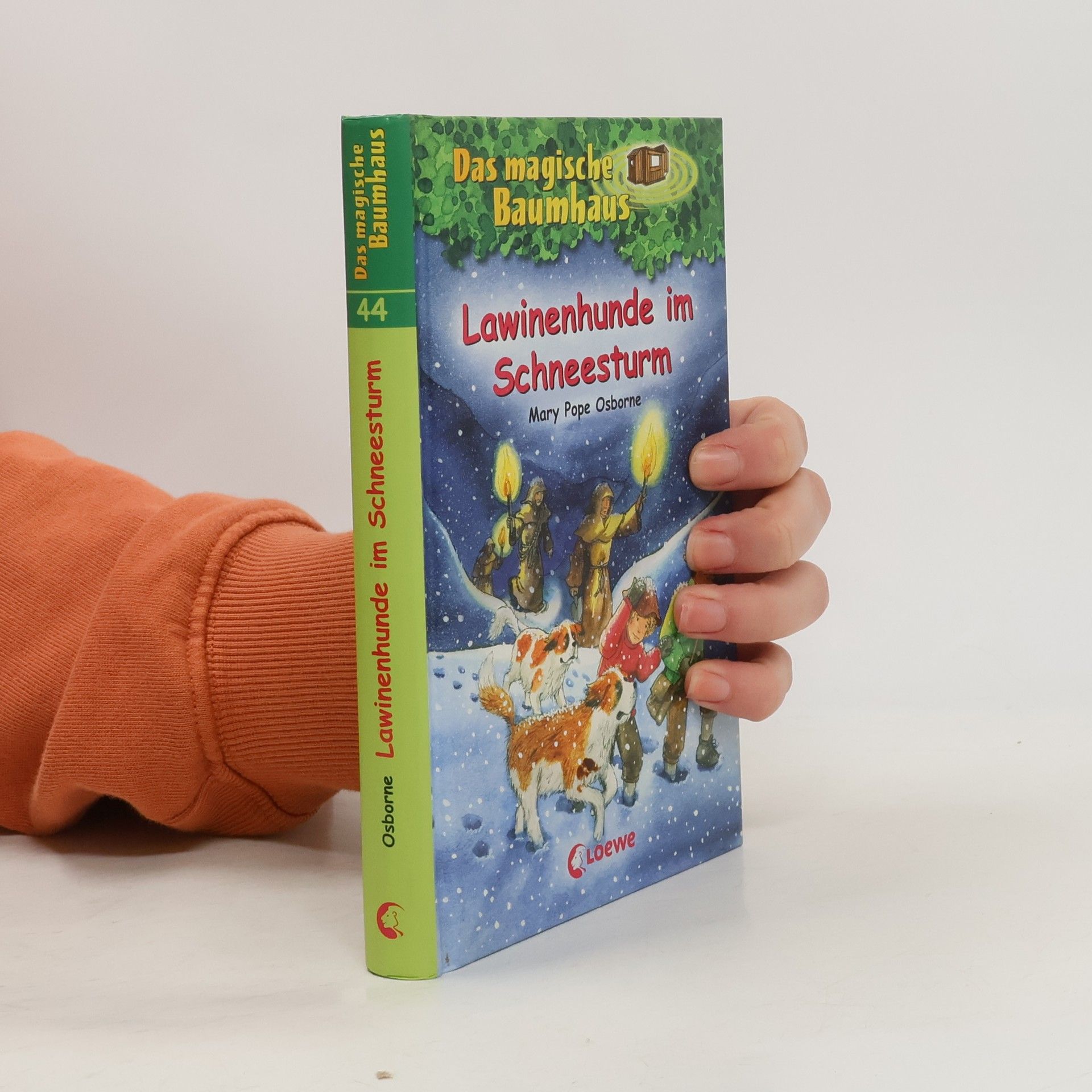 Lawinenhunde im Schneesturm