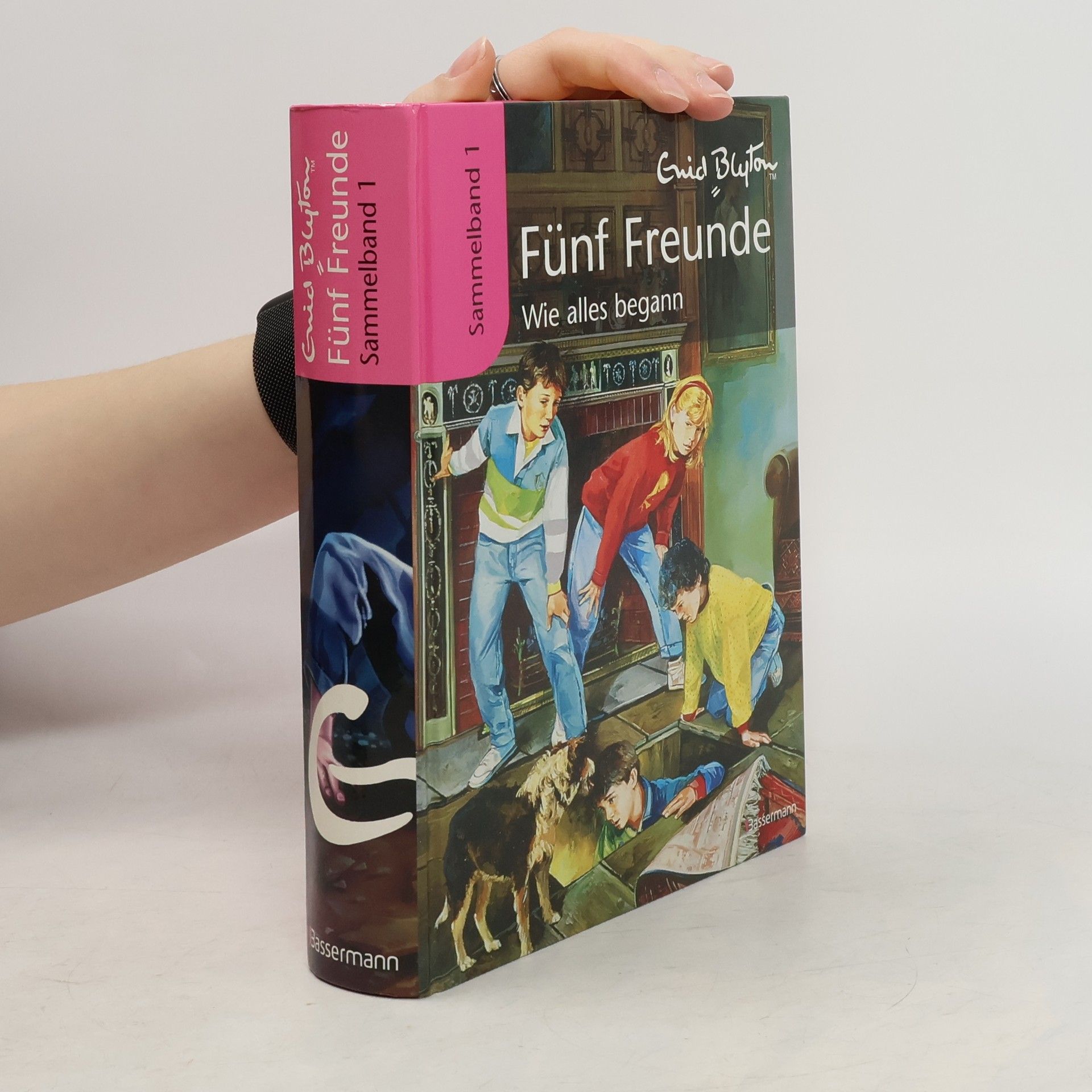 Werner Lincke Fünf Freunde: Wie alles begann