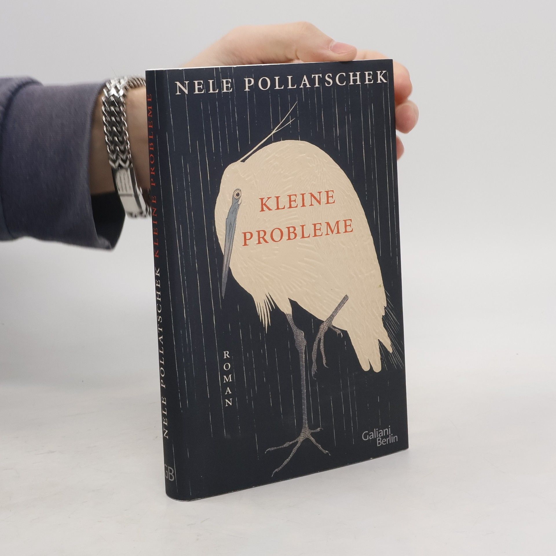 Nele Pollatschek Kleine Probleme