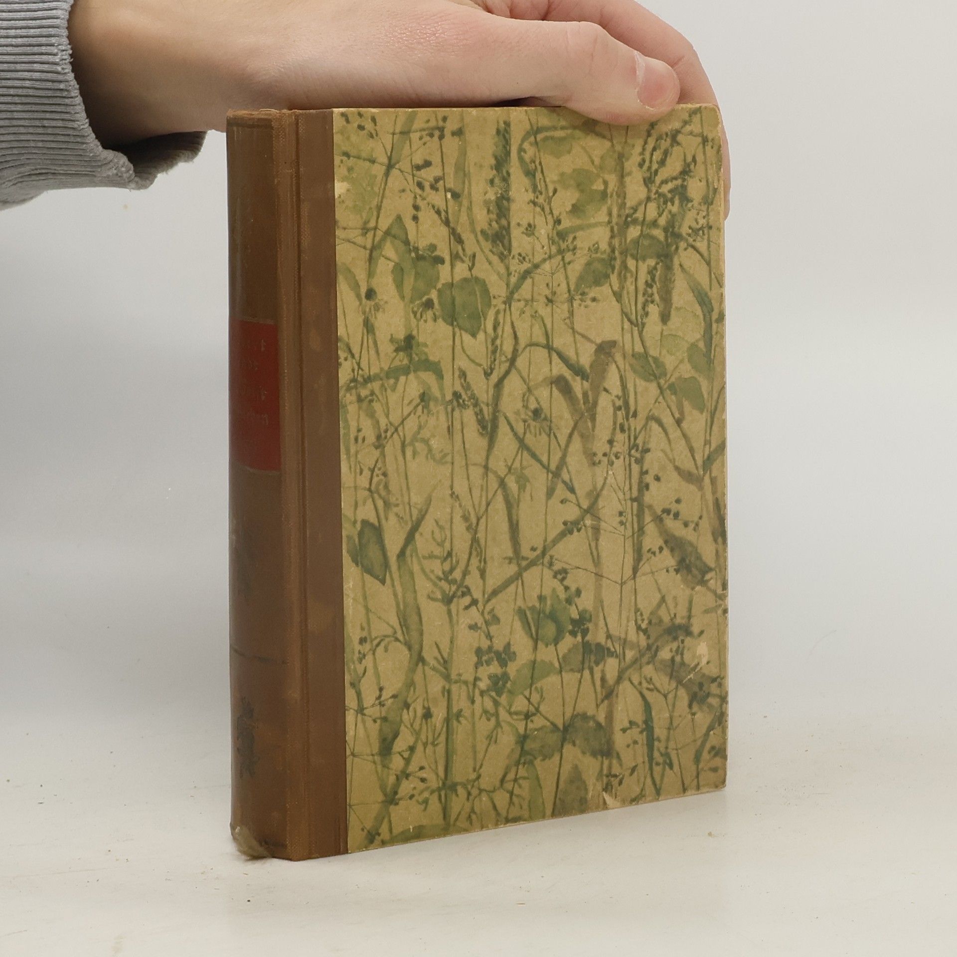 Herbert Wendt Der Forst der sieben Hügel