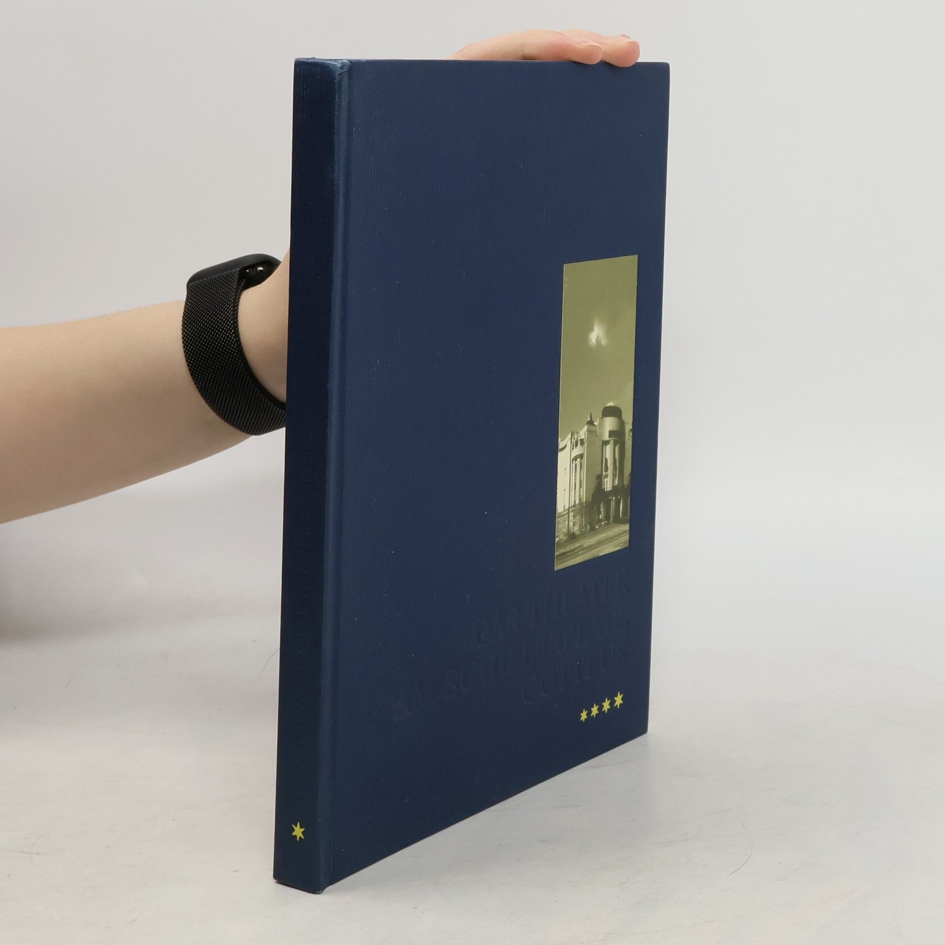 Bettina Jantzen Das Theater am Schillerplatz Cottbus