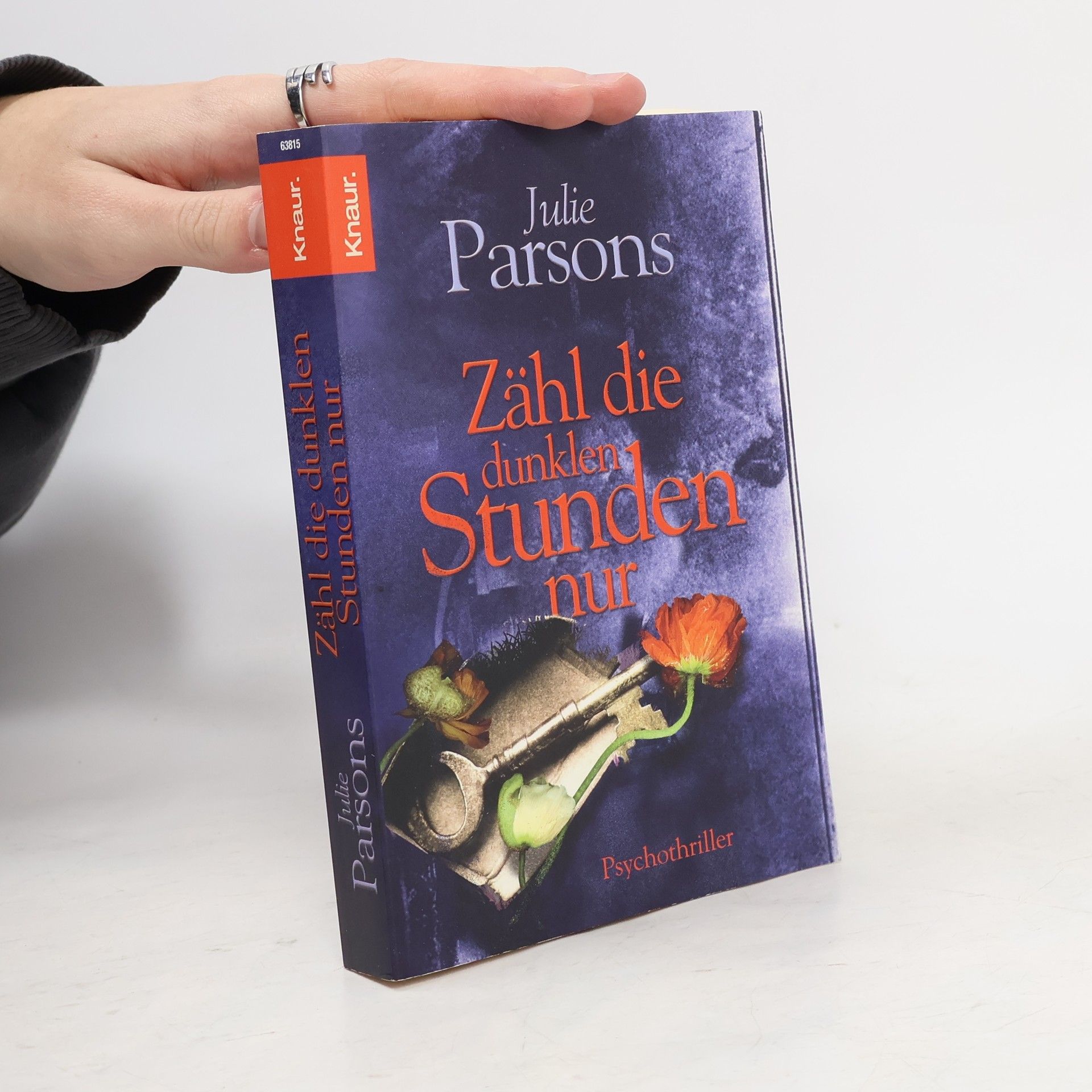 Julie Parsons Zähl die dunklen Stunden nur